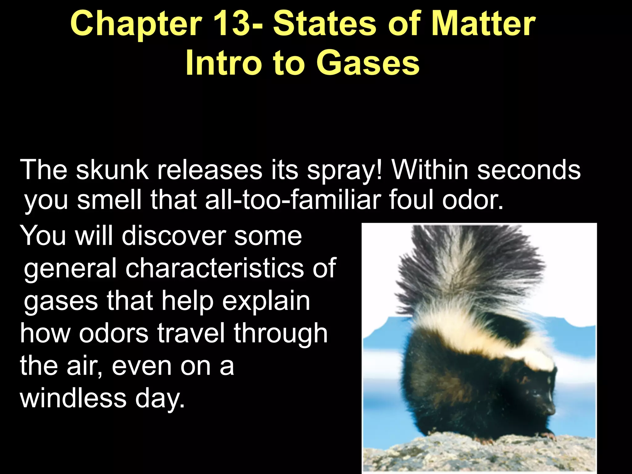 Chapter 13- States of Matter
         Intro to Gases

The skunk releases its spray! Within seconds
 you smell that all-too-familiar foul odor.
You will discover some
 general characteristics of
 gases that help explain
how odors travel through
the air, even on a
windless day.
 