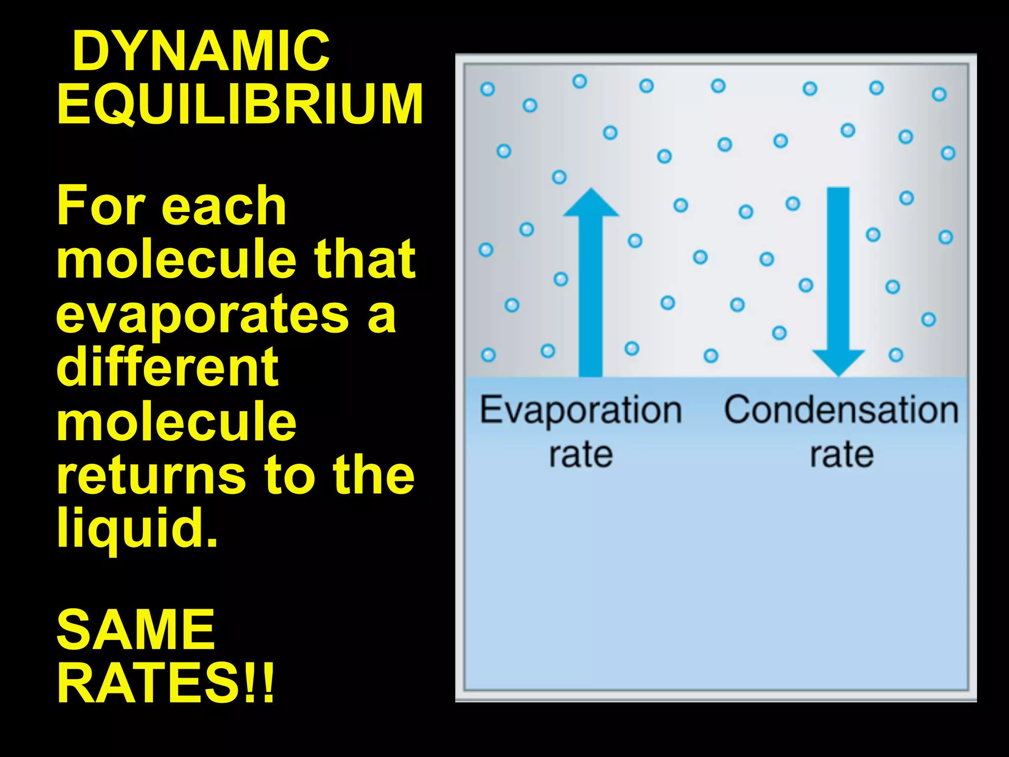 DYNAMIC
EQUILIBRIUM
For each
molecule that
evaporates a
different
molecule
returns to the
liquid.
SAME
RATES!!
 
