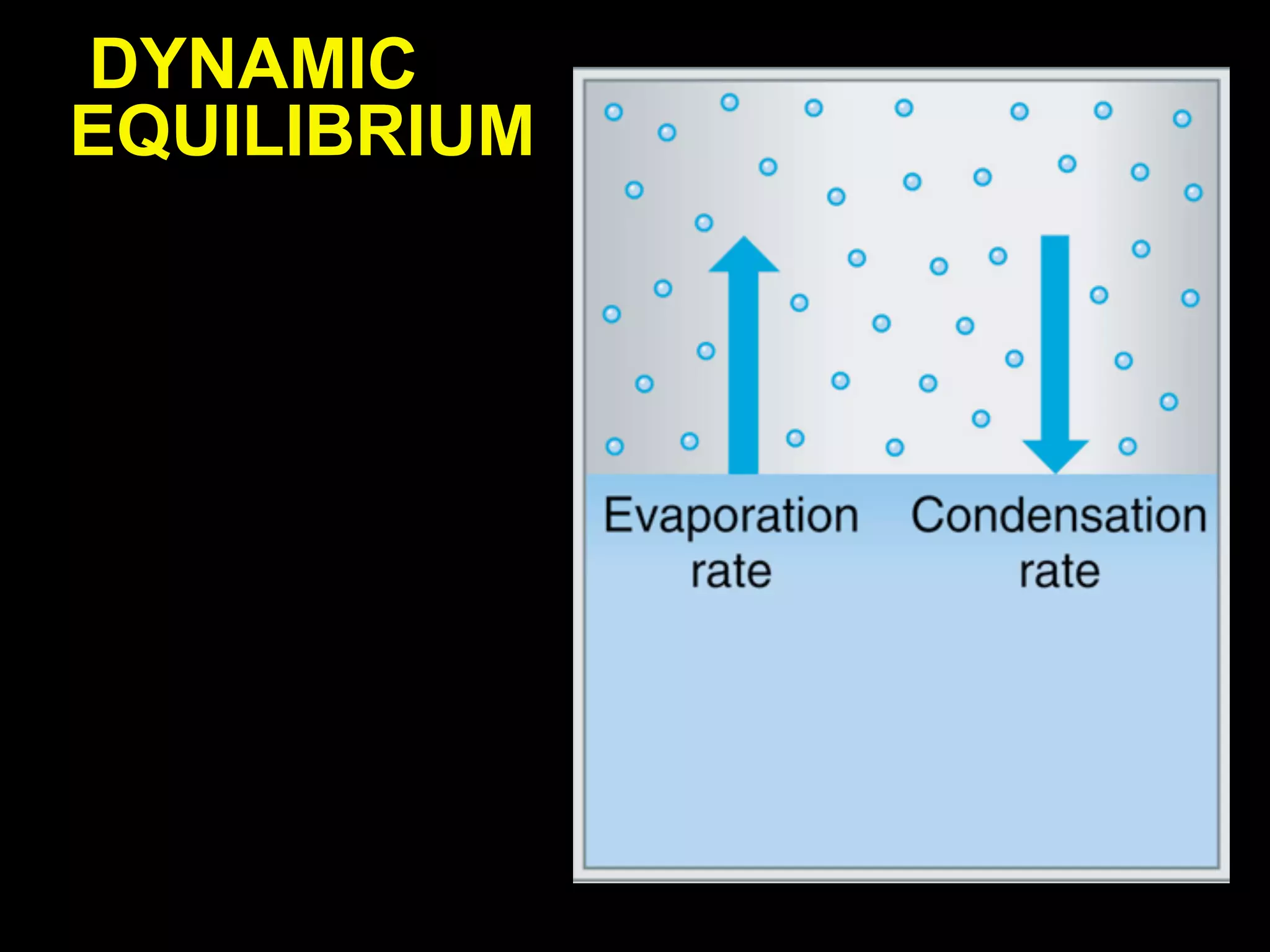 DYNAMIC
EQUILIBRIUM
 