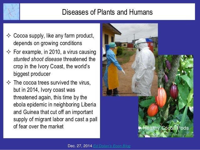 Chocolate Lovers Keep a Nervous Eye on Volatile Cocoa Prices Slide 6