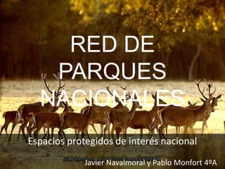RED DE
PARQUES
NACIONALES
Espacios protegidos de interés nacional
Javier Navalmoral y Pablo Monfort 4ºA
 
