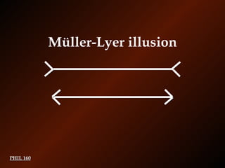 PHIL 160 Müller-Lyer illusion 