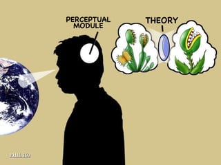 PHIL 160 PERCEPTUAL MODULE THEORY 