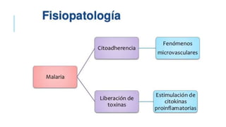 Tratamiento de la malaria.