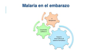 Tratamiento de la malaria.
