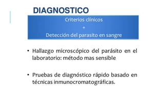 Tratamiento de la malaria.