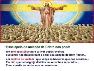 * Esse apelo de unidade de Cristo nos pede:
- um zelo apostólico para cativar outras ovelhas
que ainda não descobriram o amor apaixonado do Bom Pastor...
- um espírito de unidade: que vença as barreiras que nos separam...
Ele não quer uma Igreja dividida em rebanhos separados...
É um convite ao verdadeiro ecumenismo...
 
