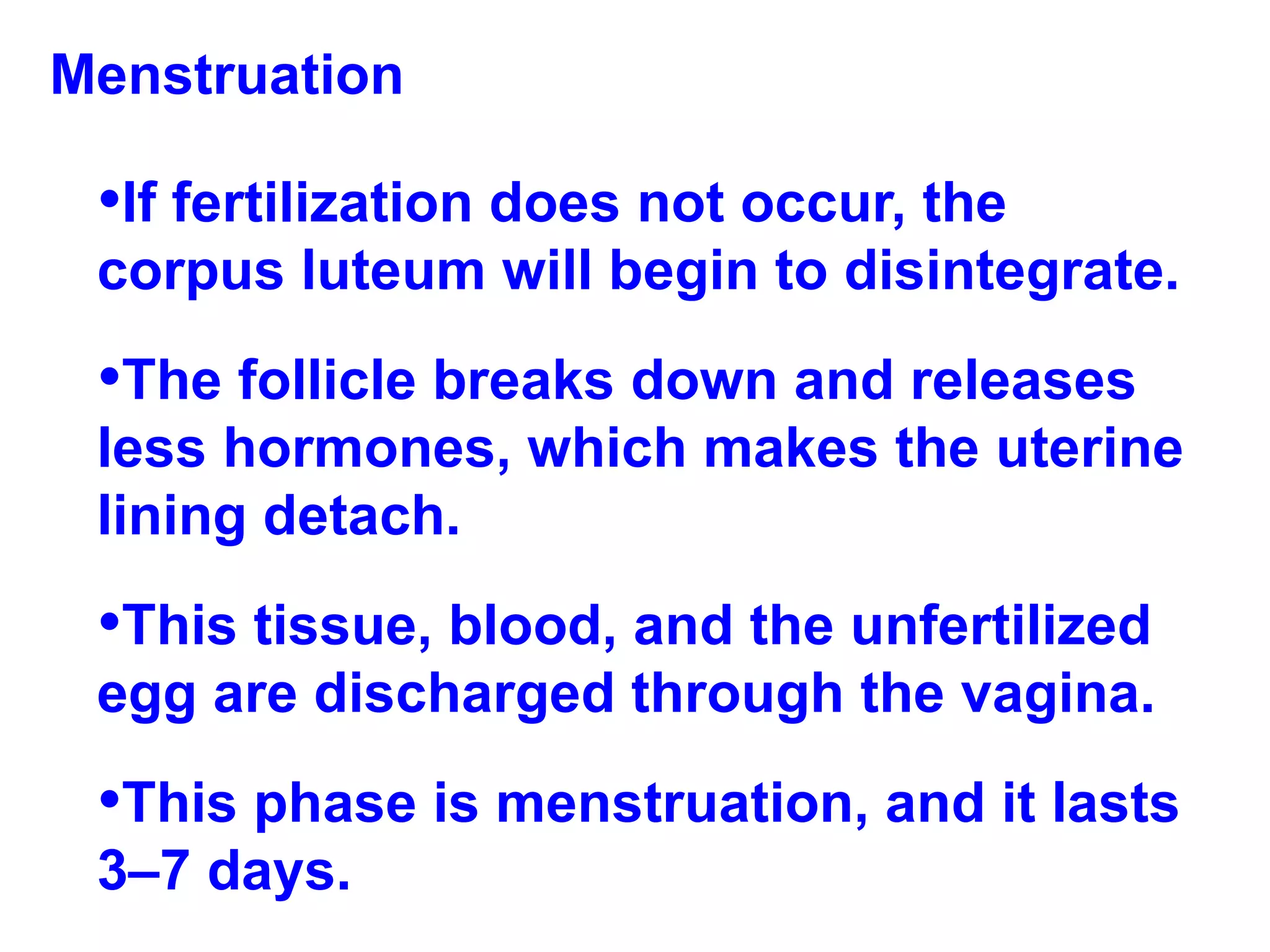 Menstruation If fertilization does not occur, the corpus luteum will begin to disintegrate.  The follicle breaks down and releases less hormones, which makes the uterine lining detach. This tissue, blood, and the unfertilized egg are discharged through the vagina.  This phase is menstruation, and it lasts 3–7 days. 