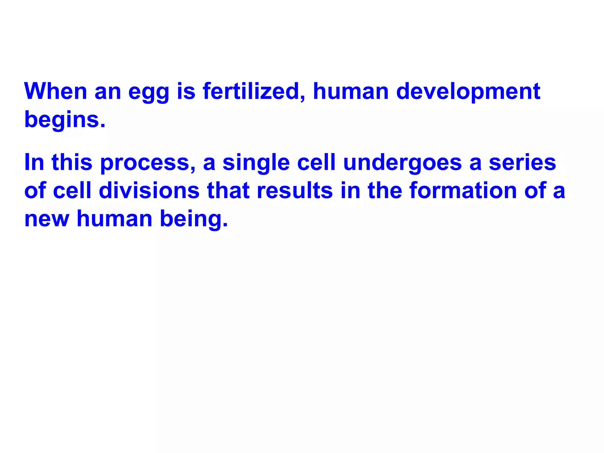 When an egg is fertilized, human development begins.  In this process, a single cell undergoes a series of cell divisions that results in the formation of a new human being. 