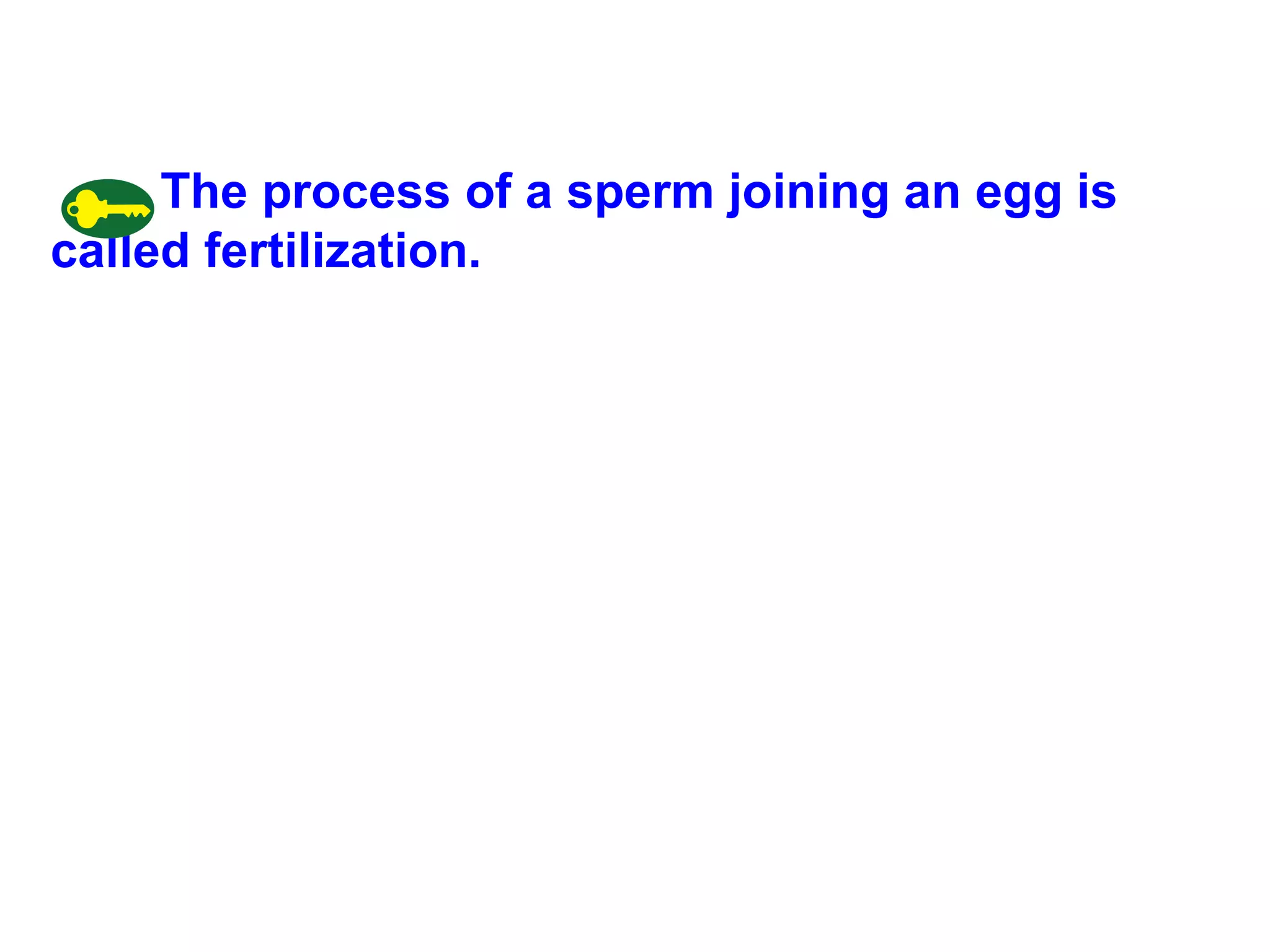 The process of a sperm joining an egg is called fertilization. 