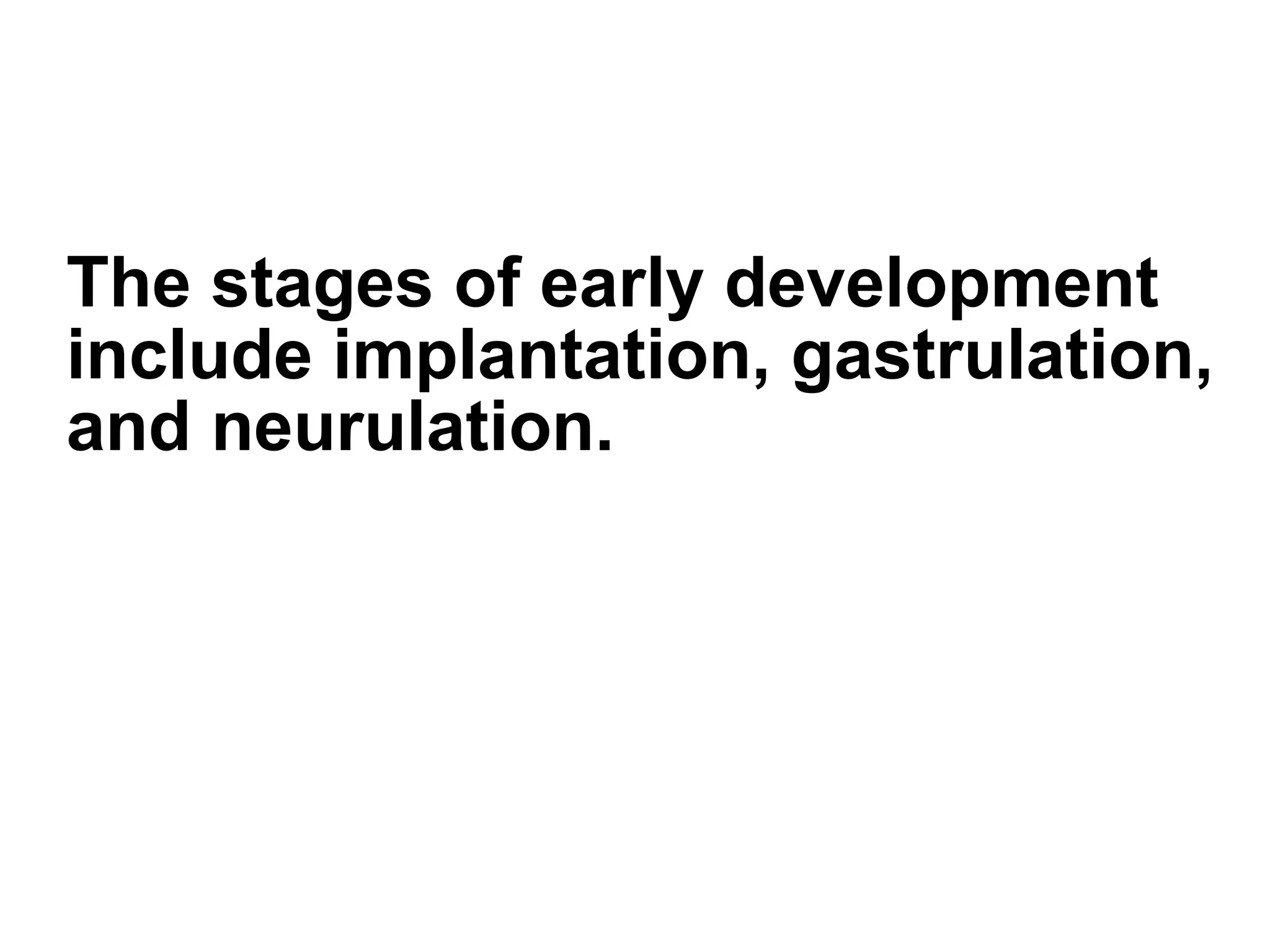 The stages of early development include implantation, gastrulation, and neurulation. 