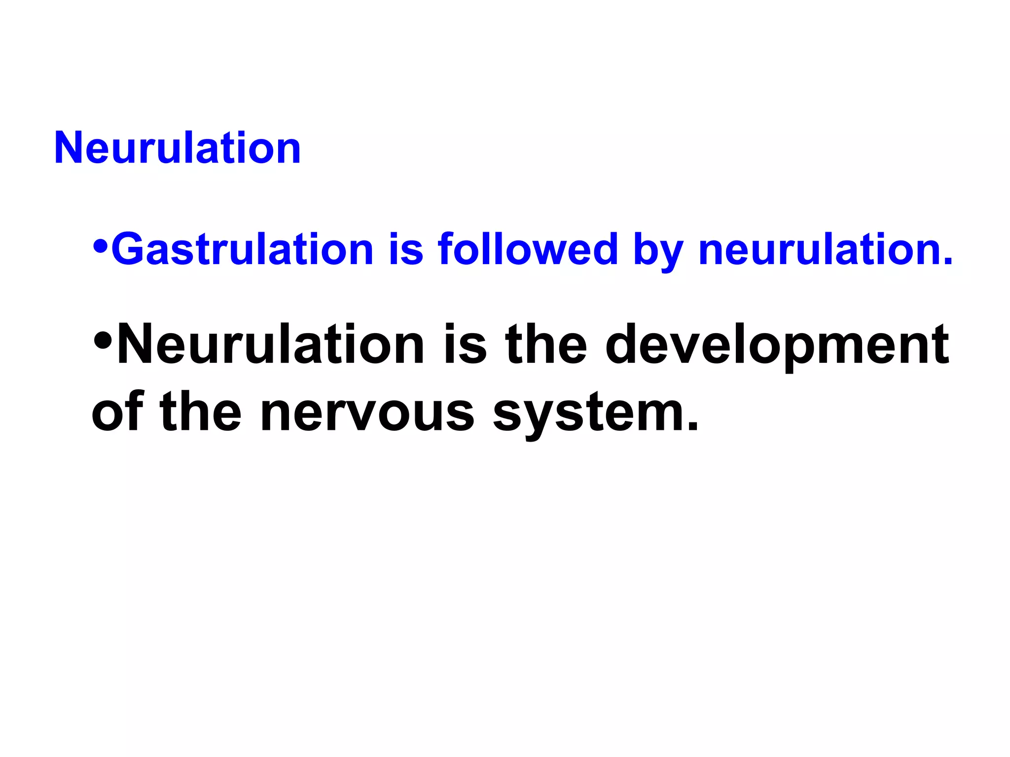 Neurulation  Gastrulation is followed by neurulation.  Neurulation is the development of the nervous system.   
