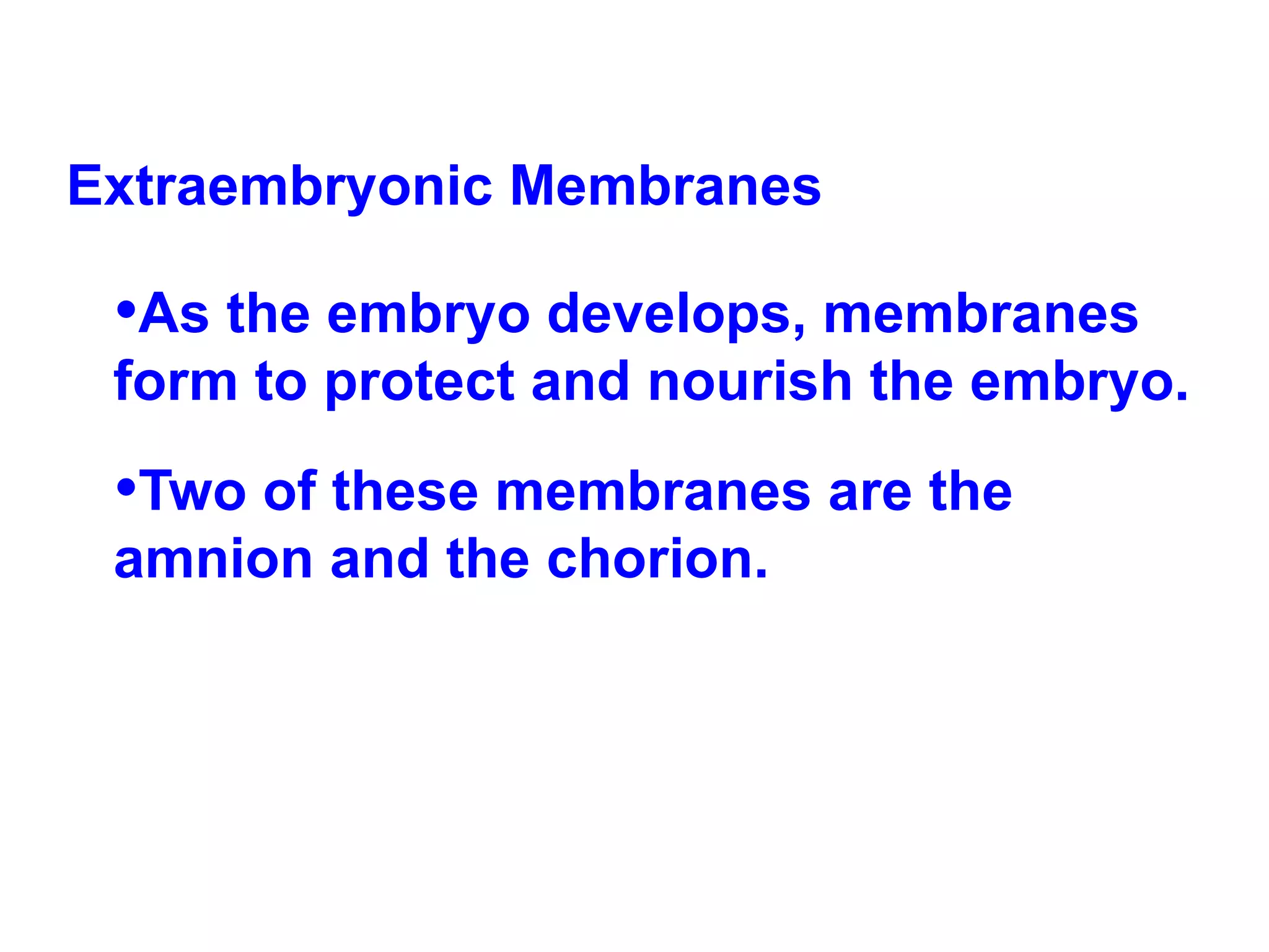 Extraembryonic Membranes As the embryo develops, membranes form to protect and nourish the embryo.  Two of these membranes are the amnion and the chorion.  