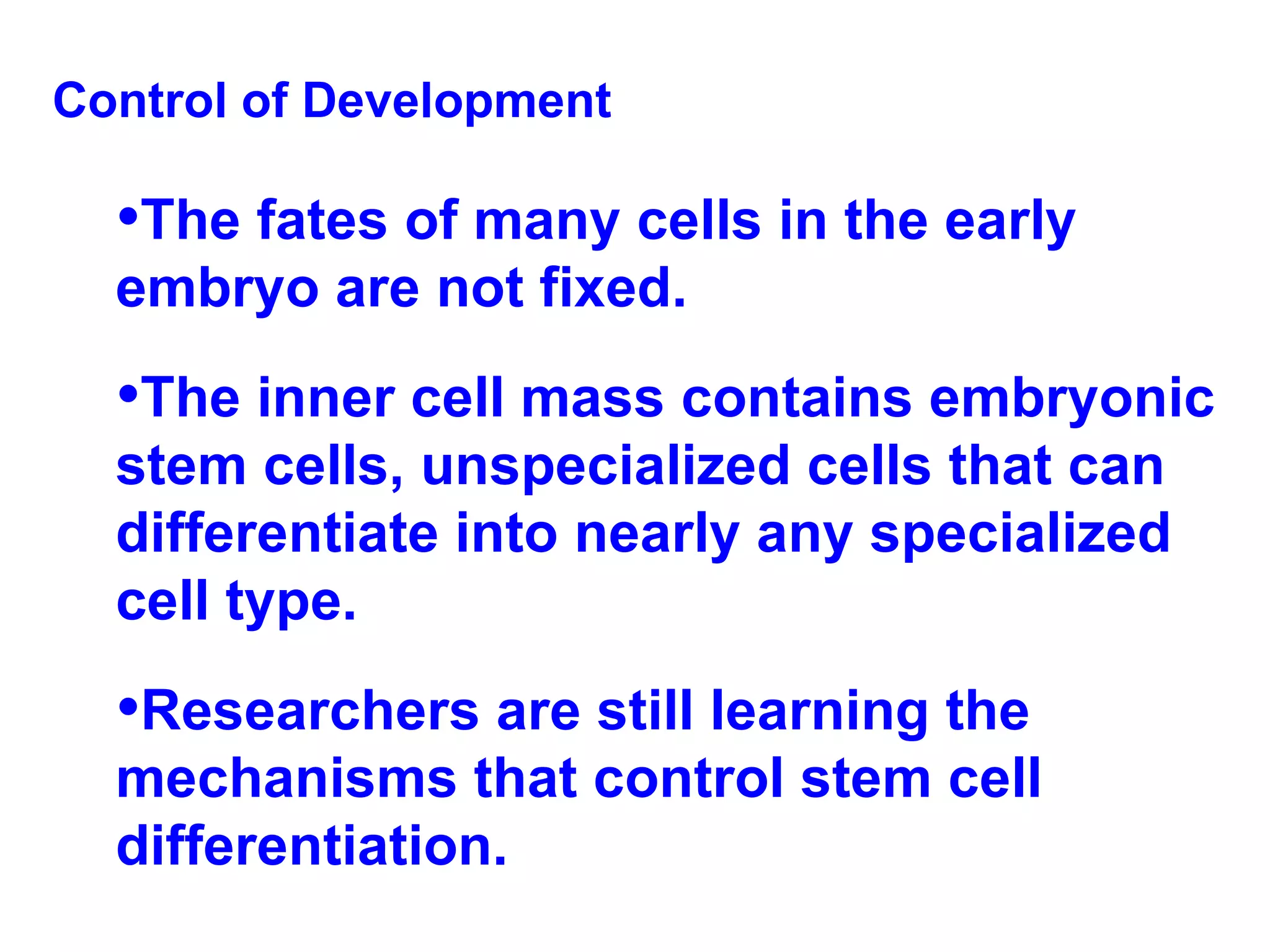 Control of Development The fates of many cells in the early embryo are not fixed.  The inner cell mass contains embryonic stem cells, unspecialized cells that can differentiate into nearly any specialized cell type.  Researchers are still learning the mechanisms that control stem cell differentiation. 