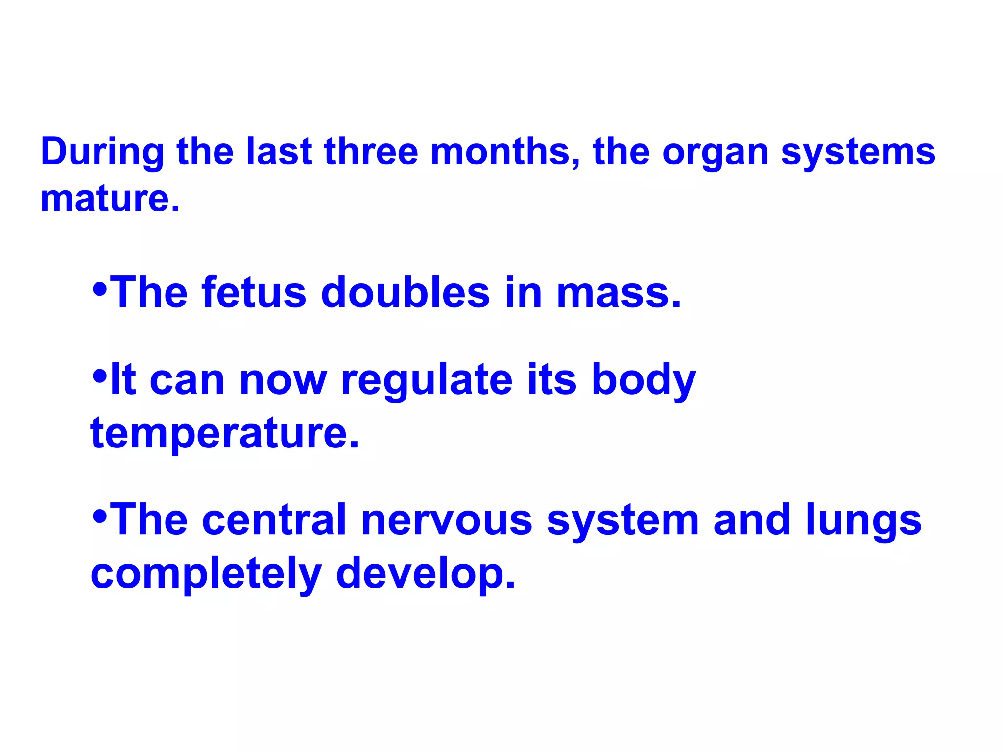 During the last three months, the organ systems mature. The fetus doubles in mass. It can now regulate its body temperature.  The central nervous system and lungs completely develop. 
