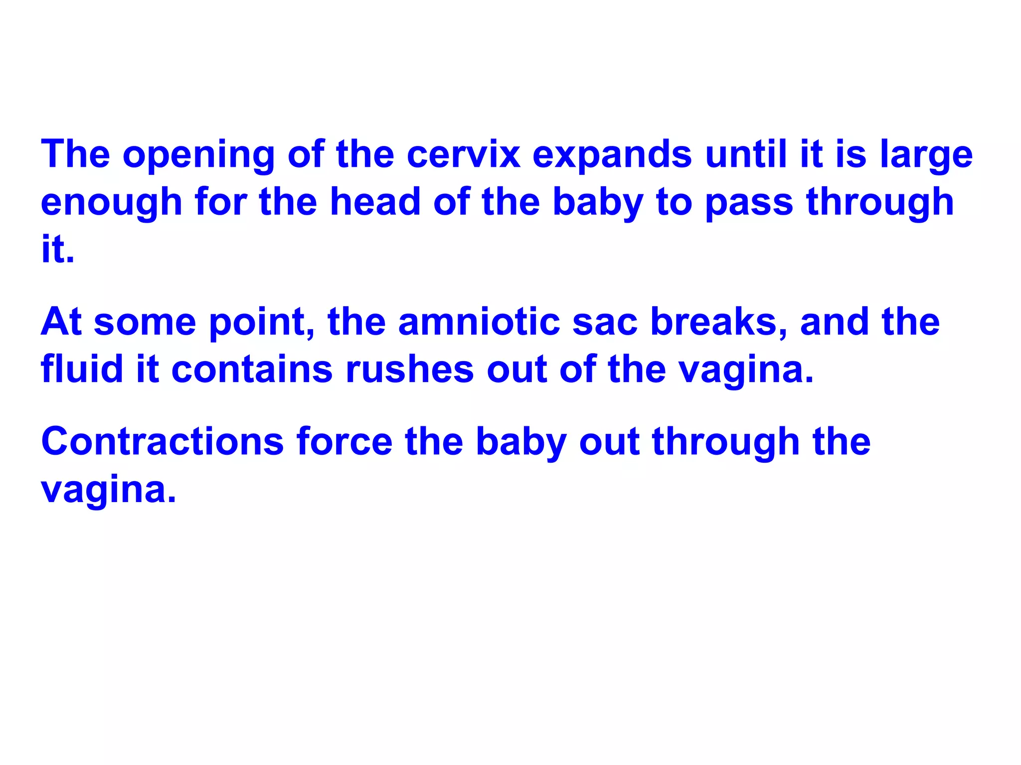 The opening of the cervix expands until it is large enough for the head of the baby to pass through it.  At some point, the amniotic sac breaks, and the fluid it contains rushes out of the vagina.  Contractions force the baby out through the vagina. 