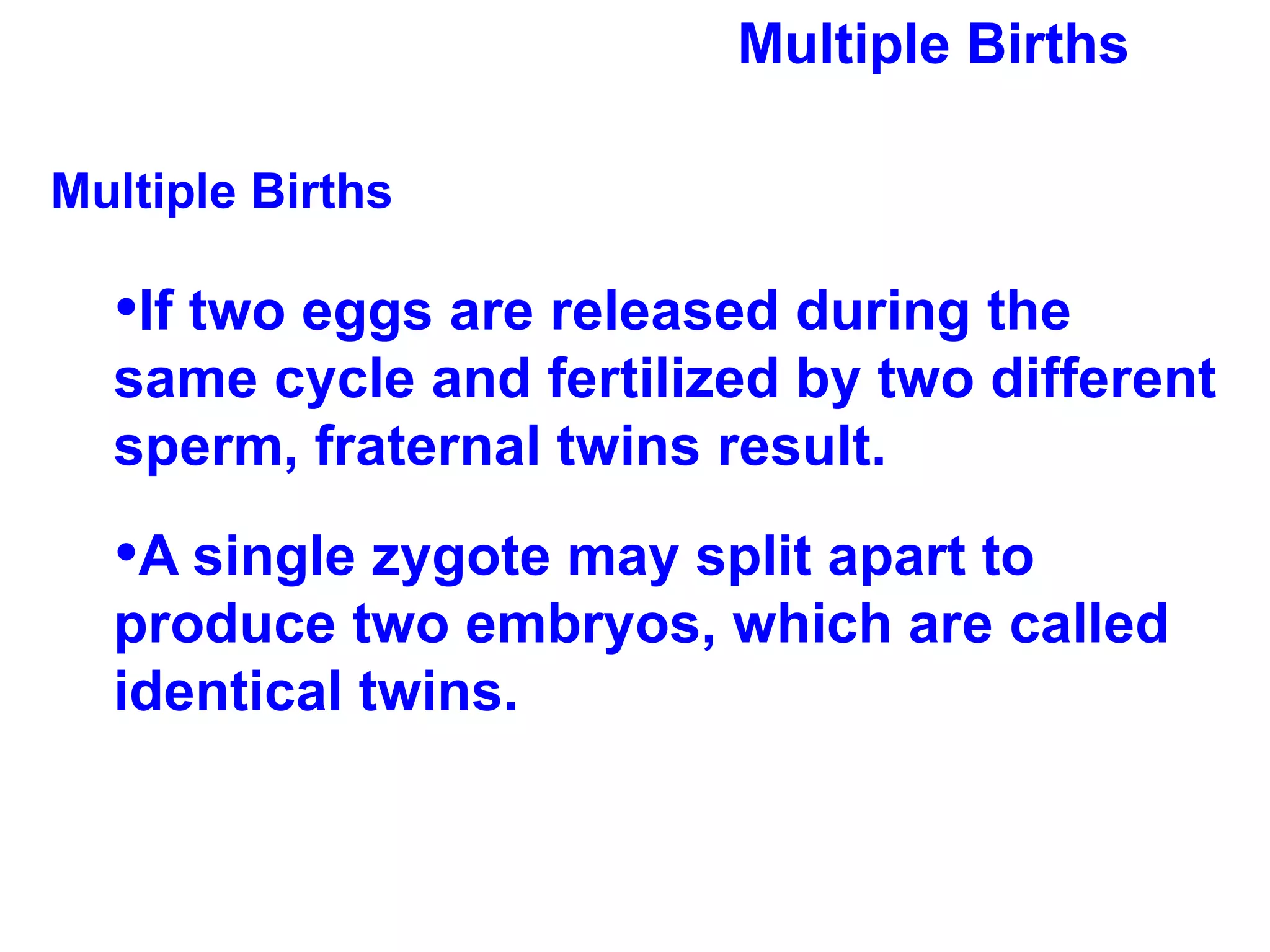 Multiple Births Multiple Births If two eggs are released during the same cycle and fertilized by two different sperm, fraternal twins result. A single zygote may split apart to produce two embryos, which are called identical twins. 