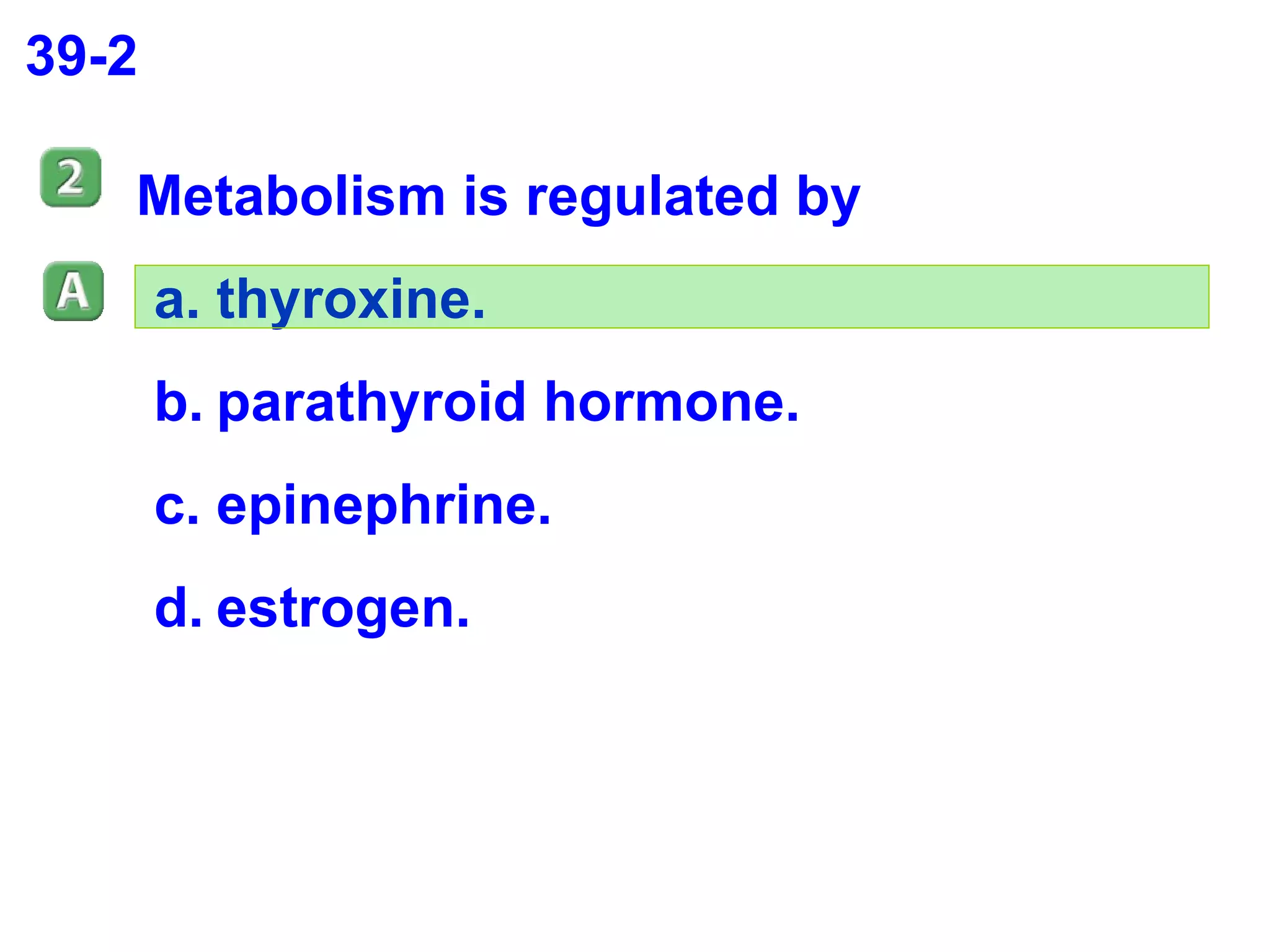 39-2 Metabolism is regulated by thyroxine. parathyroid hormone. epinephrine. estrogen. 