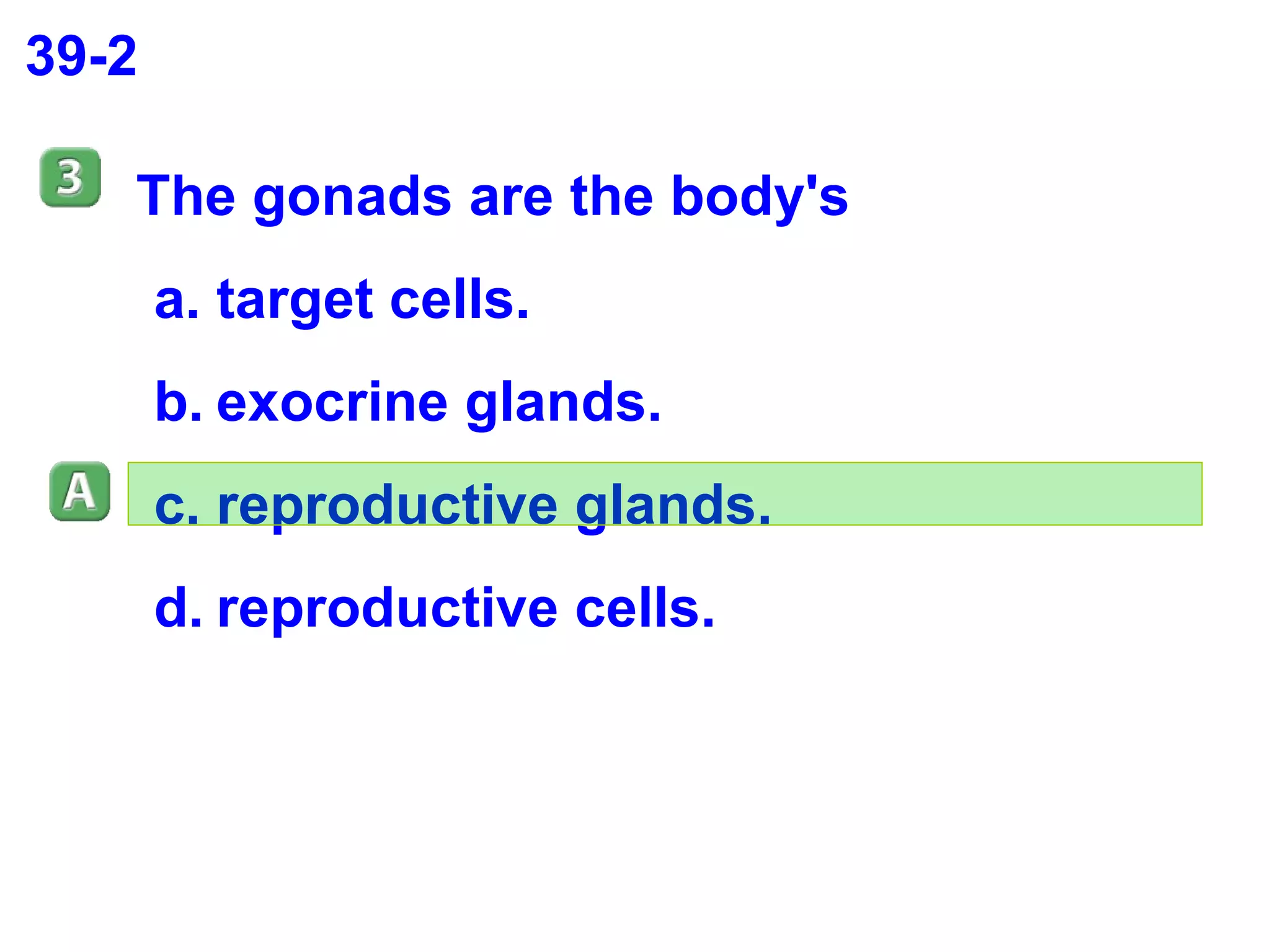 39-2 The gonads are the body's  target cells. exocrine glands. reproductive glands. reproductive cells. 