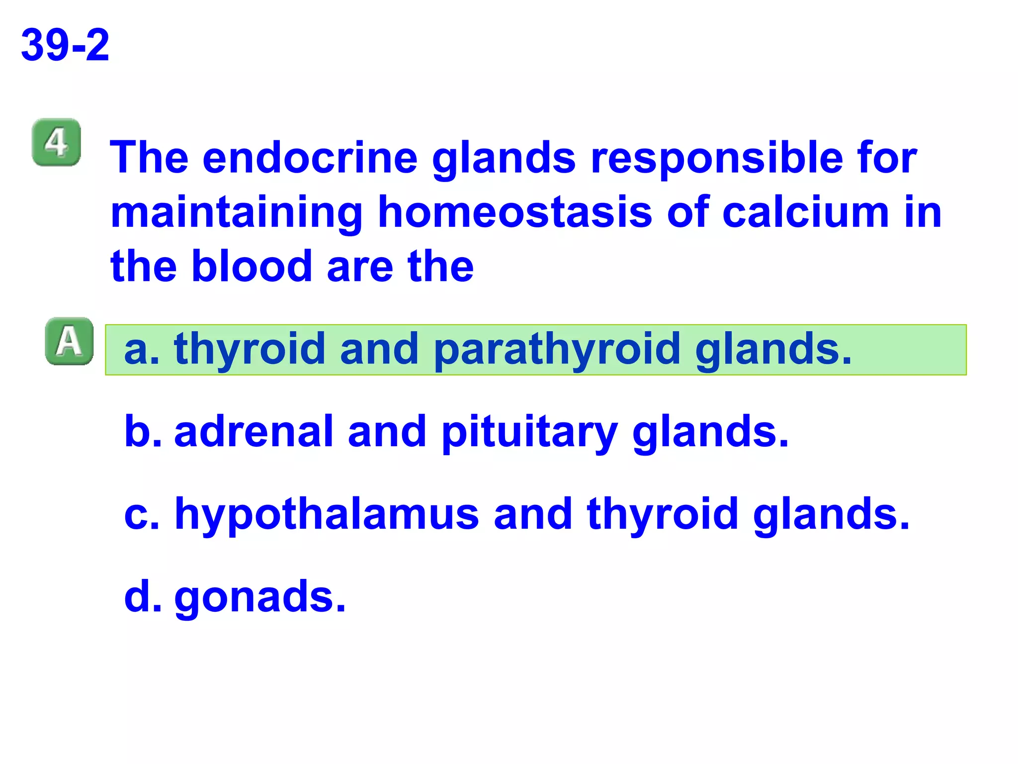 39-2 The endocrine glands responsible for maintaining homeostasis of calcium in the blood are the thyroid and parathyroid glands. adrenal and pituitary glands. hypothalamus and thyroid glands. gonads. 