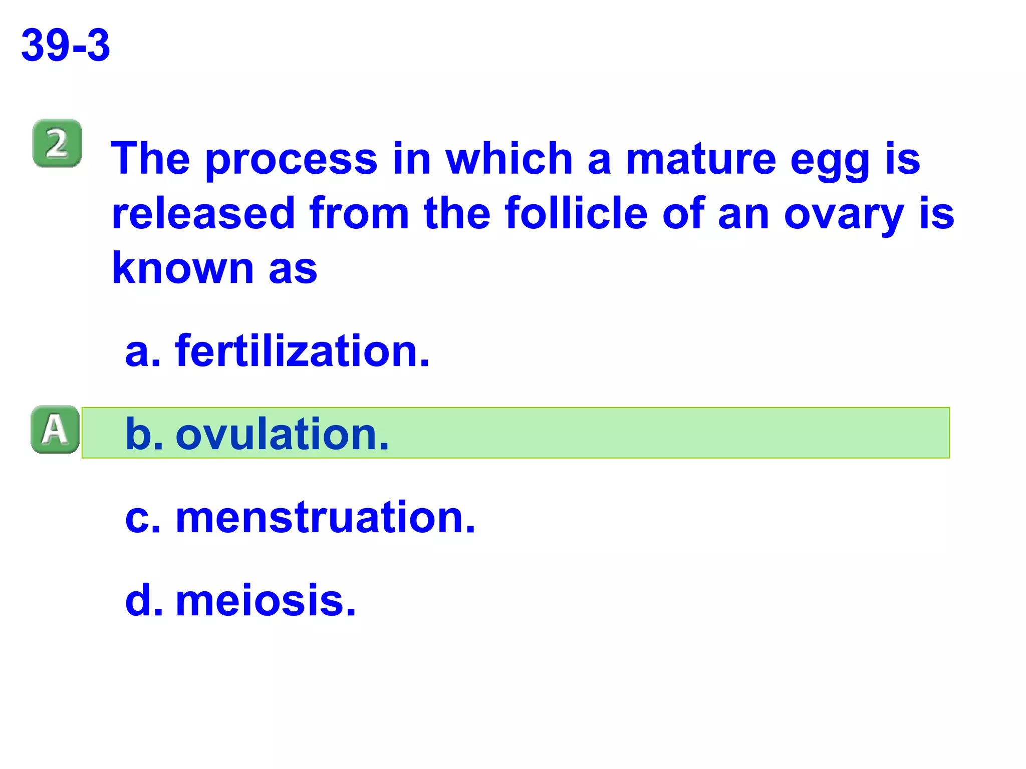 39-3 The process in which a mature egg is released from the follicle of an ovary is known as  fertilization. ovulation. menstruation. meiosis. 