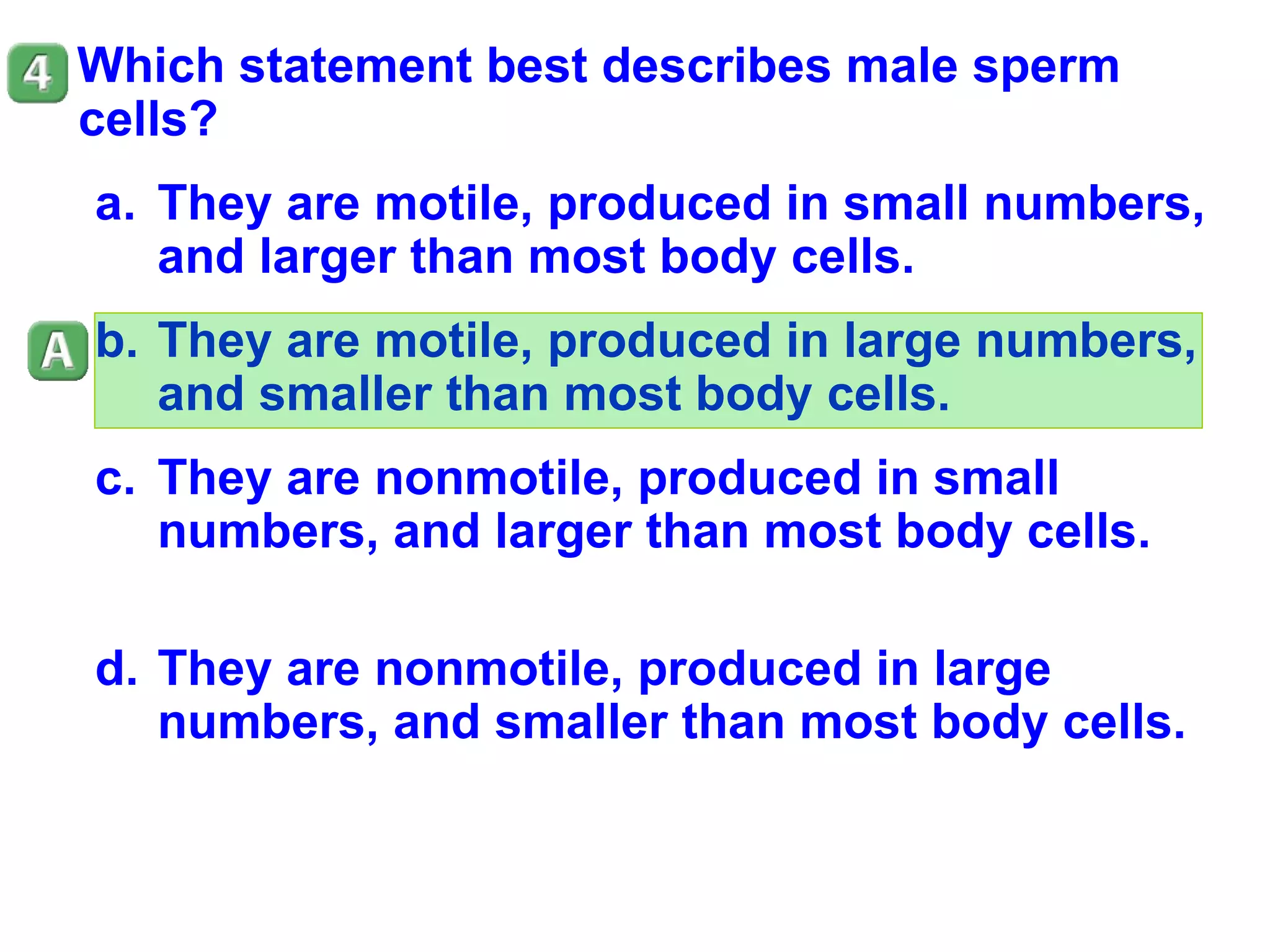 Which statement best describes male sperm cells? They are motile, produced in small numbers, and larger than most body cells. They are motile, produced in large numbers, and smaller than most body cells. They are nonmotile, produced in small numbers, and larger than most body cells. They are nonmotile, produced in large numbers, and smaller than most body cells. 