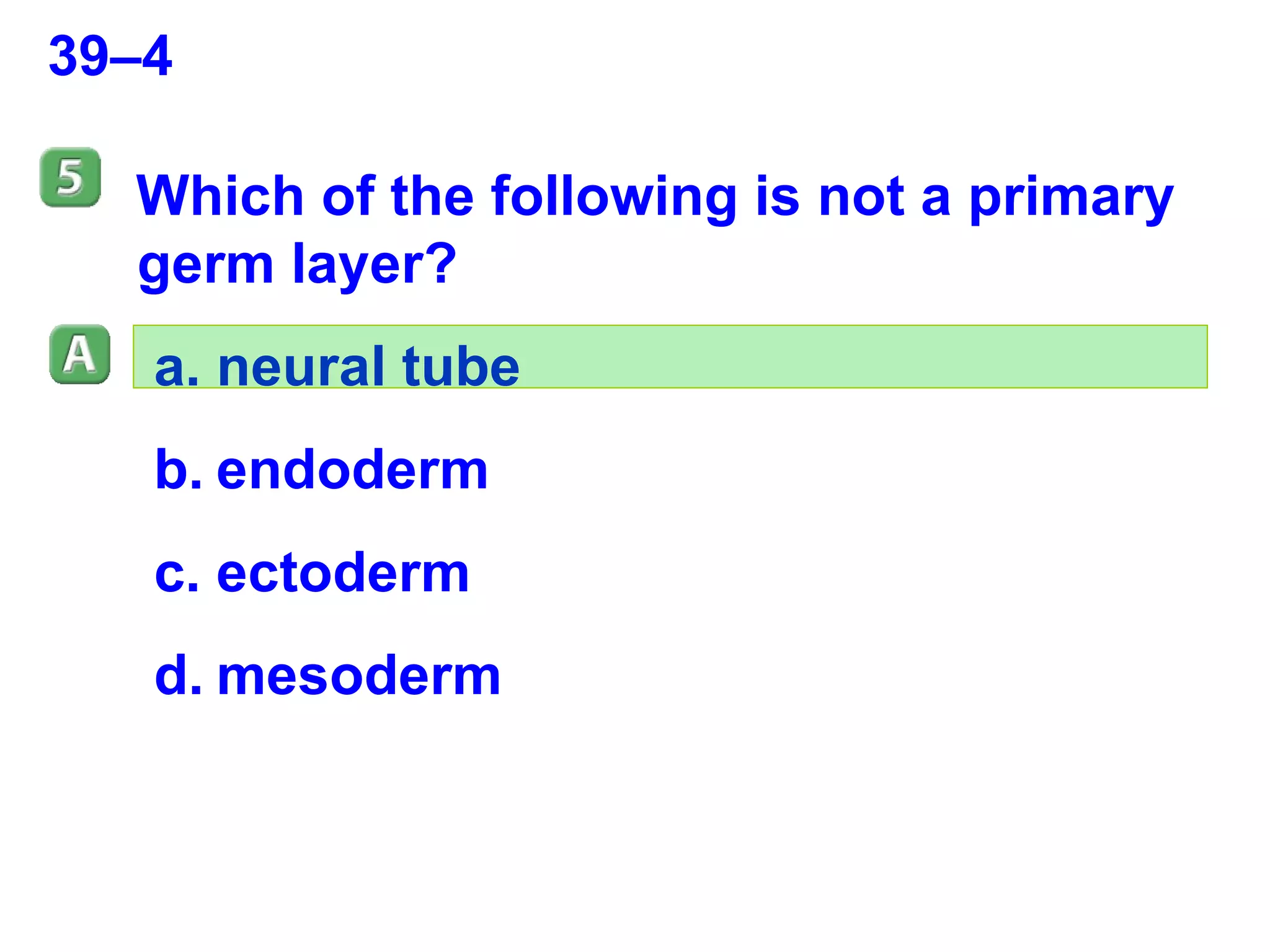 39–4 Which of the following is not a primary germ layer?  neural tube endoderm ectoderm mesoderm 