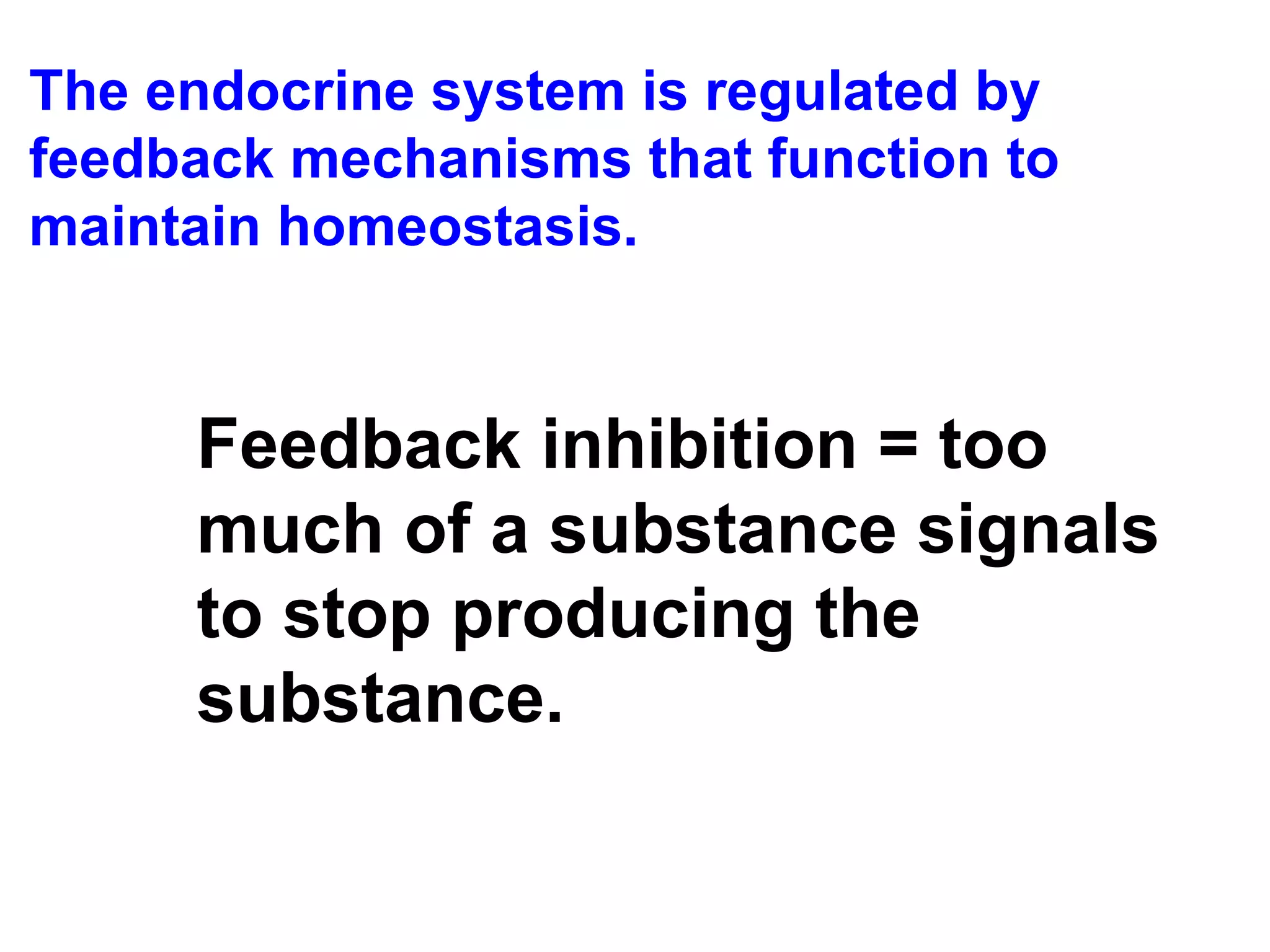 The endocrine system is regulated by feedback mechanisms that function to maintain homeostasis. Feedback inhibition = too much of a substance signals to stop producing the substance. 