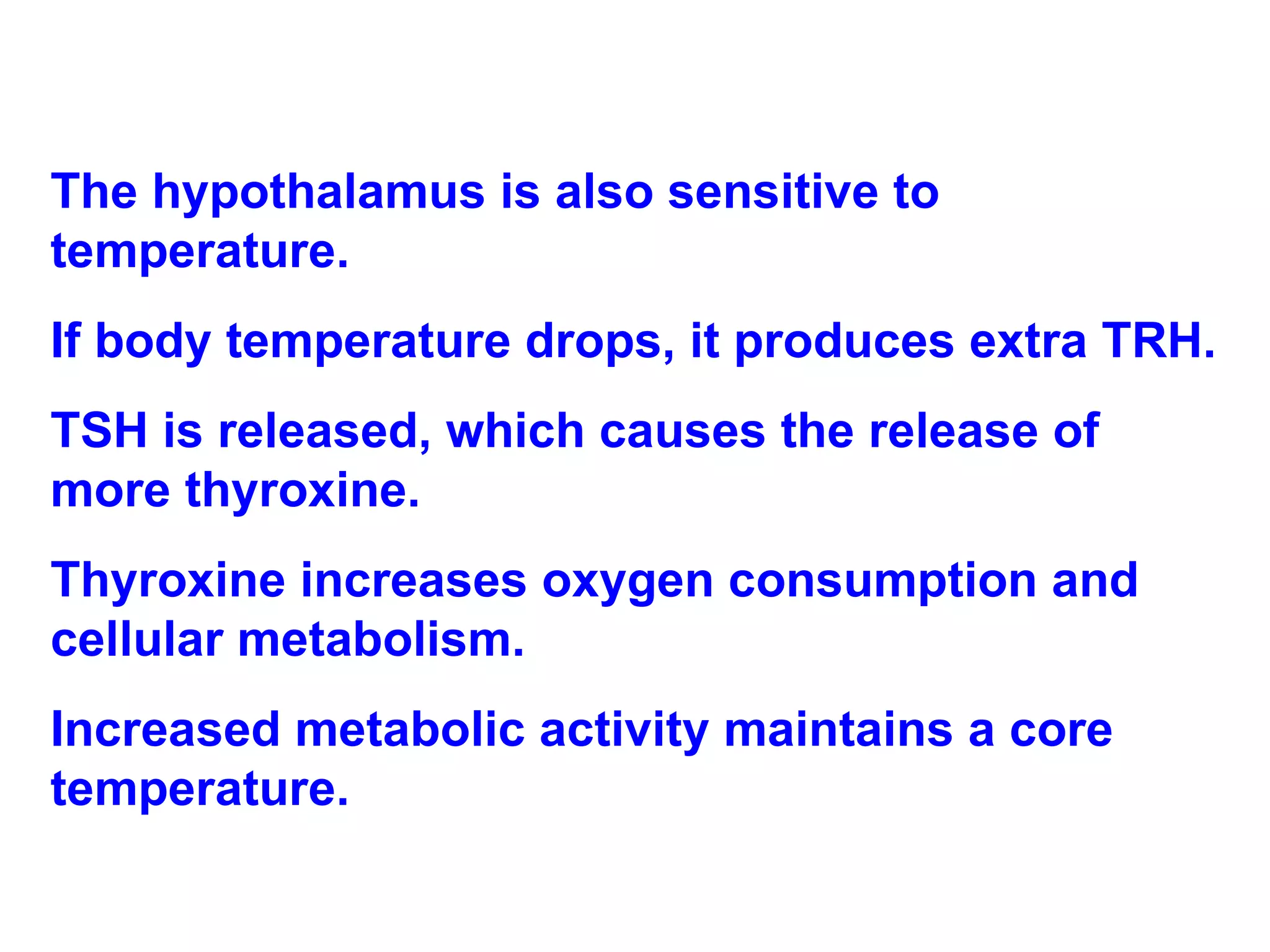 The hypothalamus is also sensitive to temperature. If body temperature drops, it produces extra TRH.  TSH is released, which causes the release of more thyroxine.  Thyroxine increases oxygen consumption and cellular metabolism.  Increased metabolic activity maintains a core temperature. 