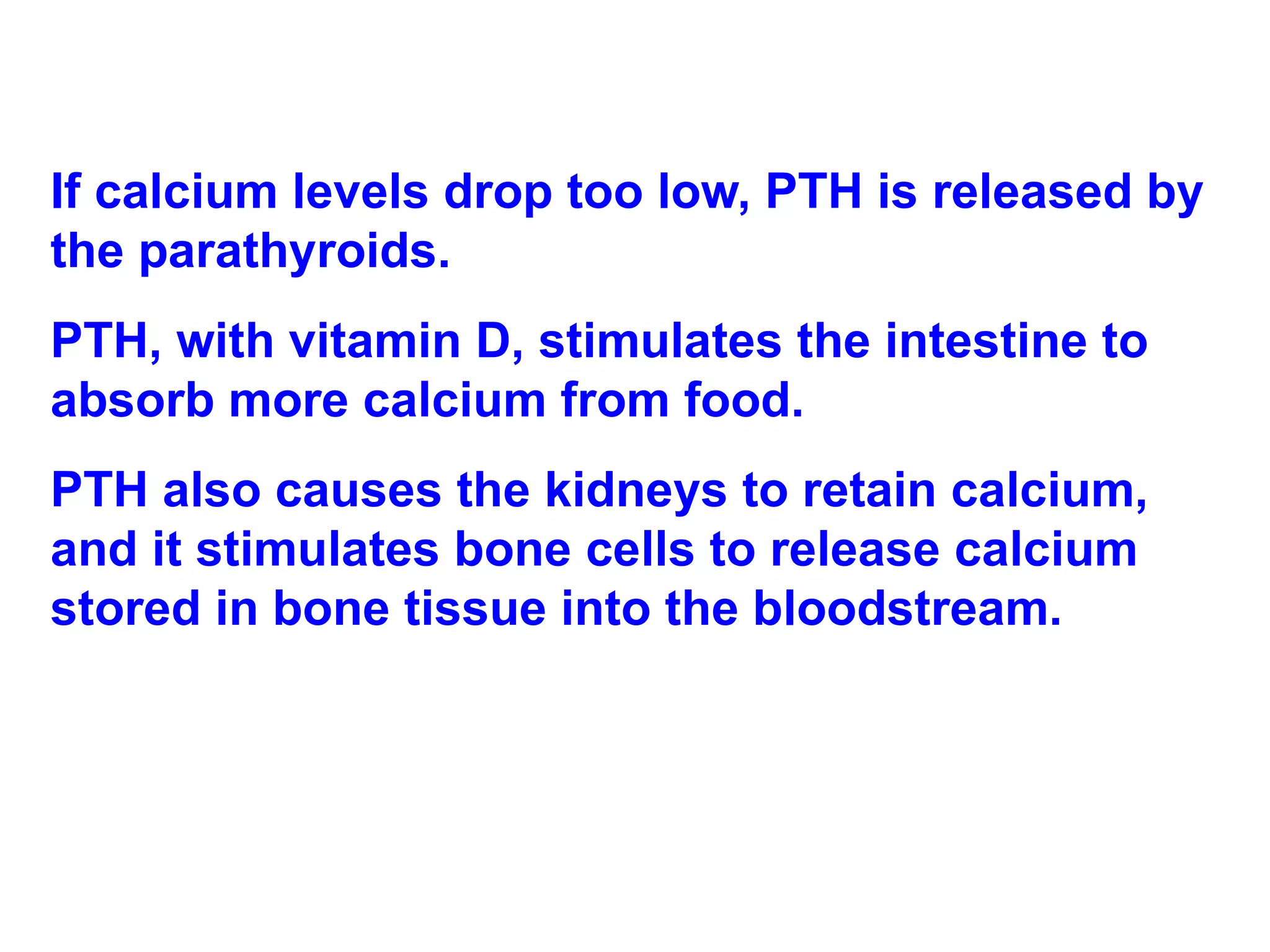 If calcium levels drop too low, PTH is released by the parathyroids.  PTH, with vitamin D, stimulates the intestine to absorb more calcium from food.  PTH also causes the kidneys to retain calcium, and it stimulates bone cells to release calcium stored in bone tissue into the bloodstream. 