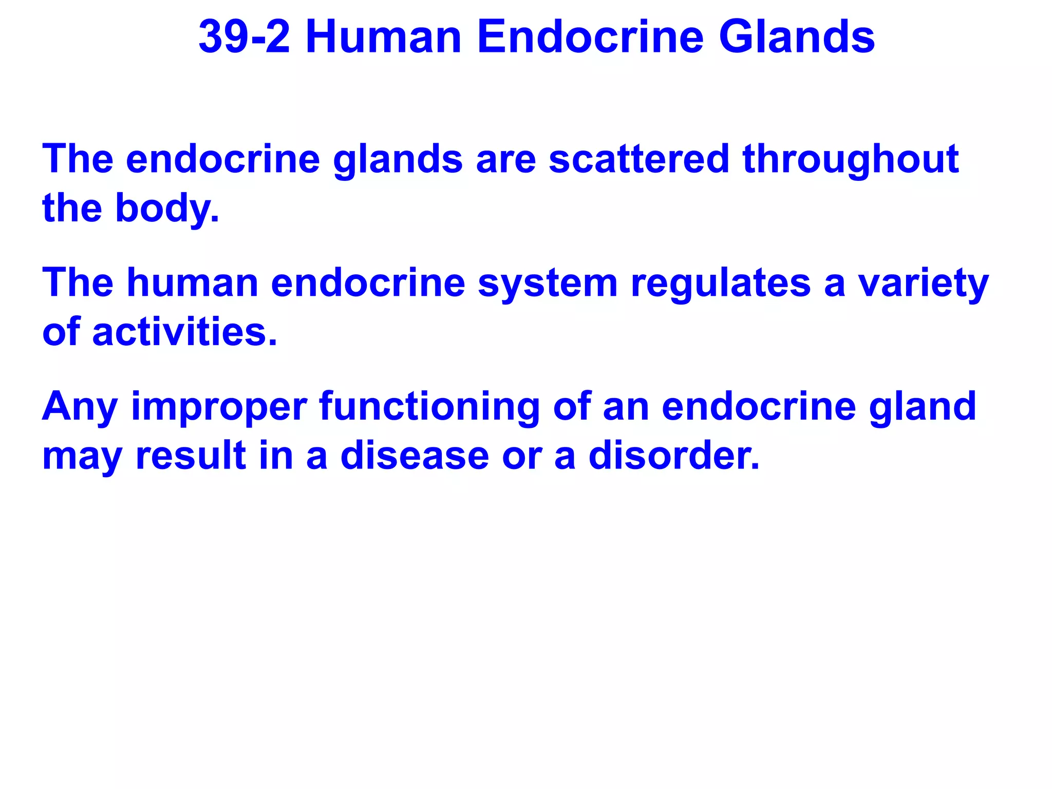 39-2 Human Endocrine Glands The endocrine glands are scattered throughout the body. The human endocrine system regulates a variety of activities.  Any improper functioning of an endocrine gland may result in a disease or a disorder.  