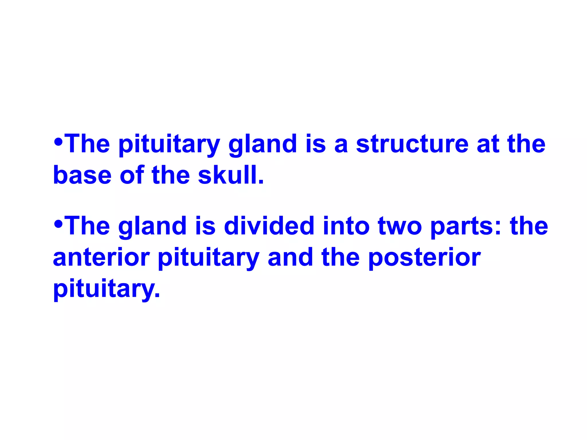 The pituitary gland is a structure at the base of the skull.  The gland is divided into two parts: the anterior pituitary and the posterior pituitary. 