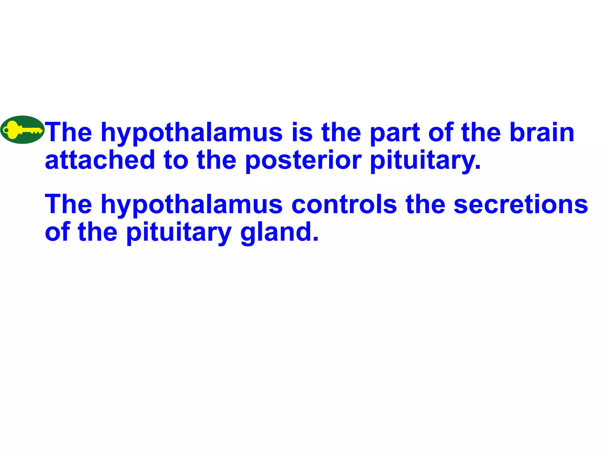 The hypothalamus is the part of the brain attached to the posterior pituitary. The hypothalamus controls the secretions of the pituitary gland. 