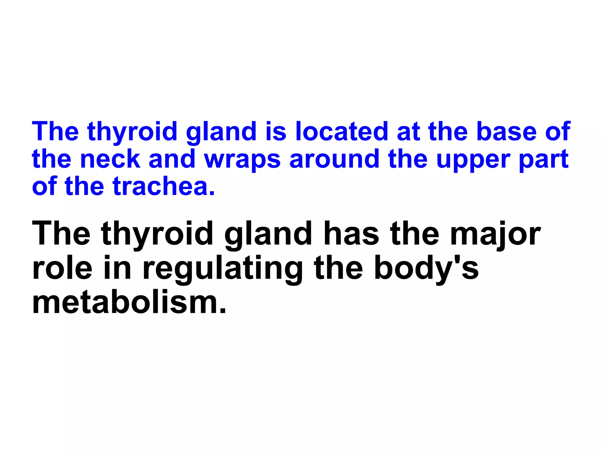 The thyroid gland is located at the base of the neck and wraps around the upper part of the trachea. The thyroid gland has the major role in regulating the body's metabolism. 
