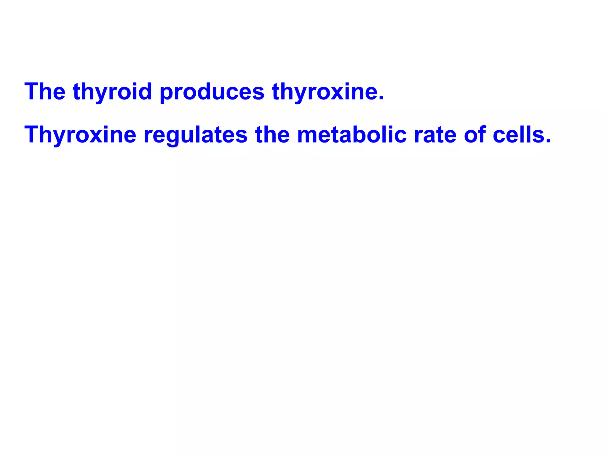 The thyroid produces thyroxine. Thyroxine regulates the metabolic rate of cells. 