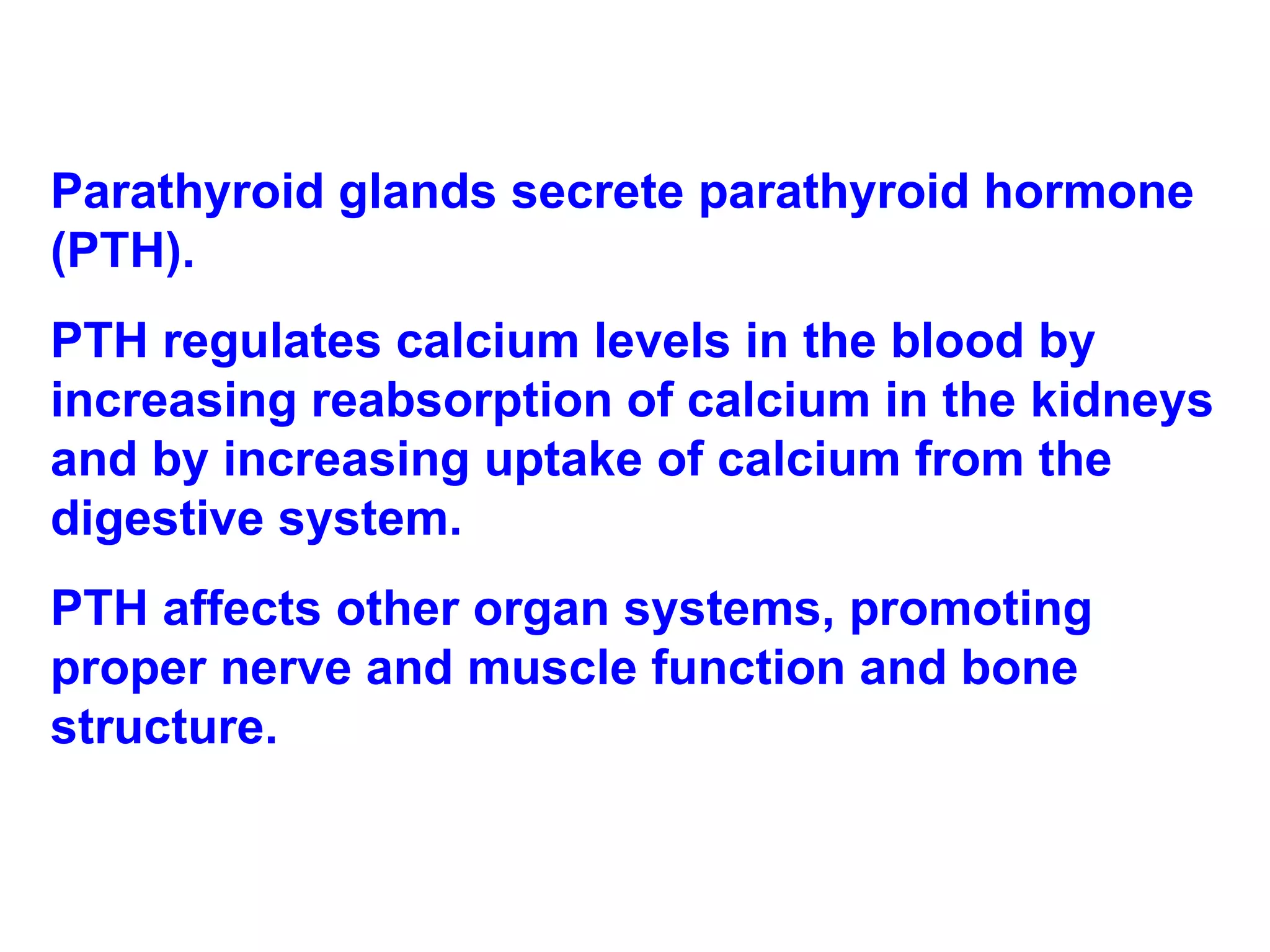Parathyroid glands secrete parathyroid hormone (PTH).  PTH regulates calcium levels in the blood by increasing reabsorption of calcium in the kidneys and by increasing uptake of calcium from the digestive system. PTH affects other organ systems, promoting proper nerve and muscle function and bone structure. 