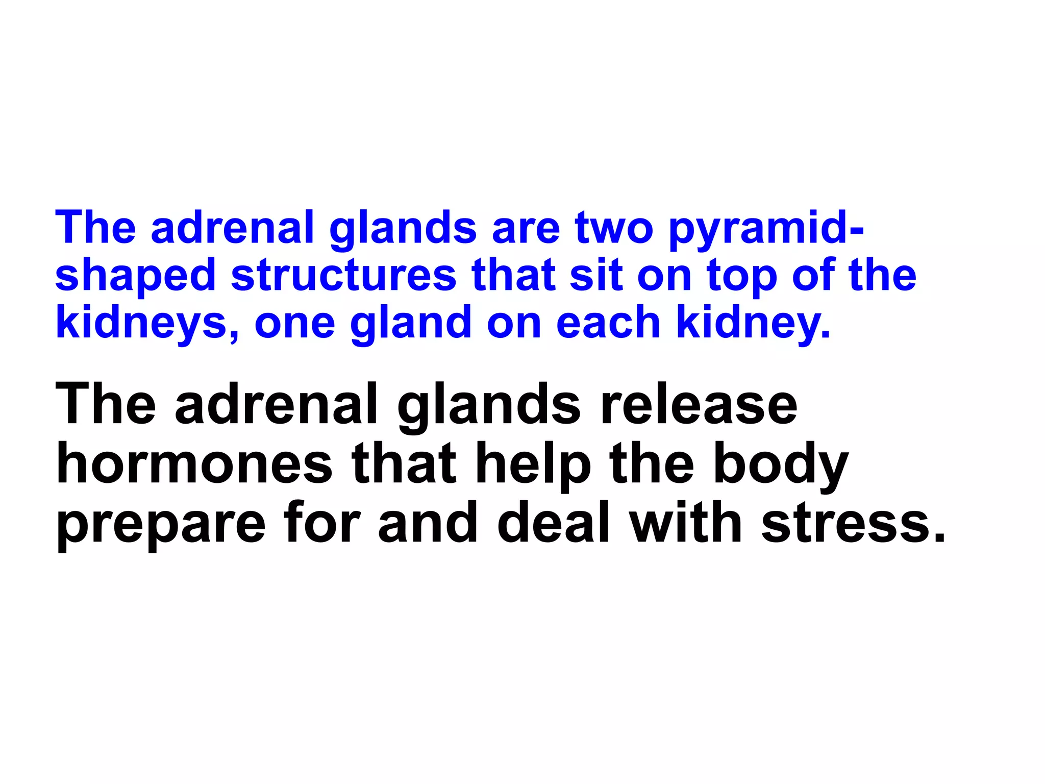 The adrenal glands are two pyramid-shaped structures that sit on top of the kidneys, one gland on each kidney. The adrenal glands release hormones that help the body prepare for and deal with stress. 