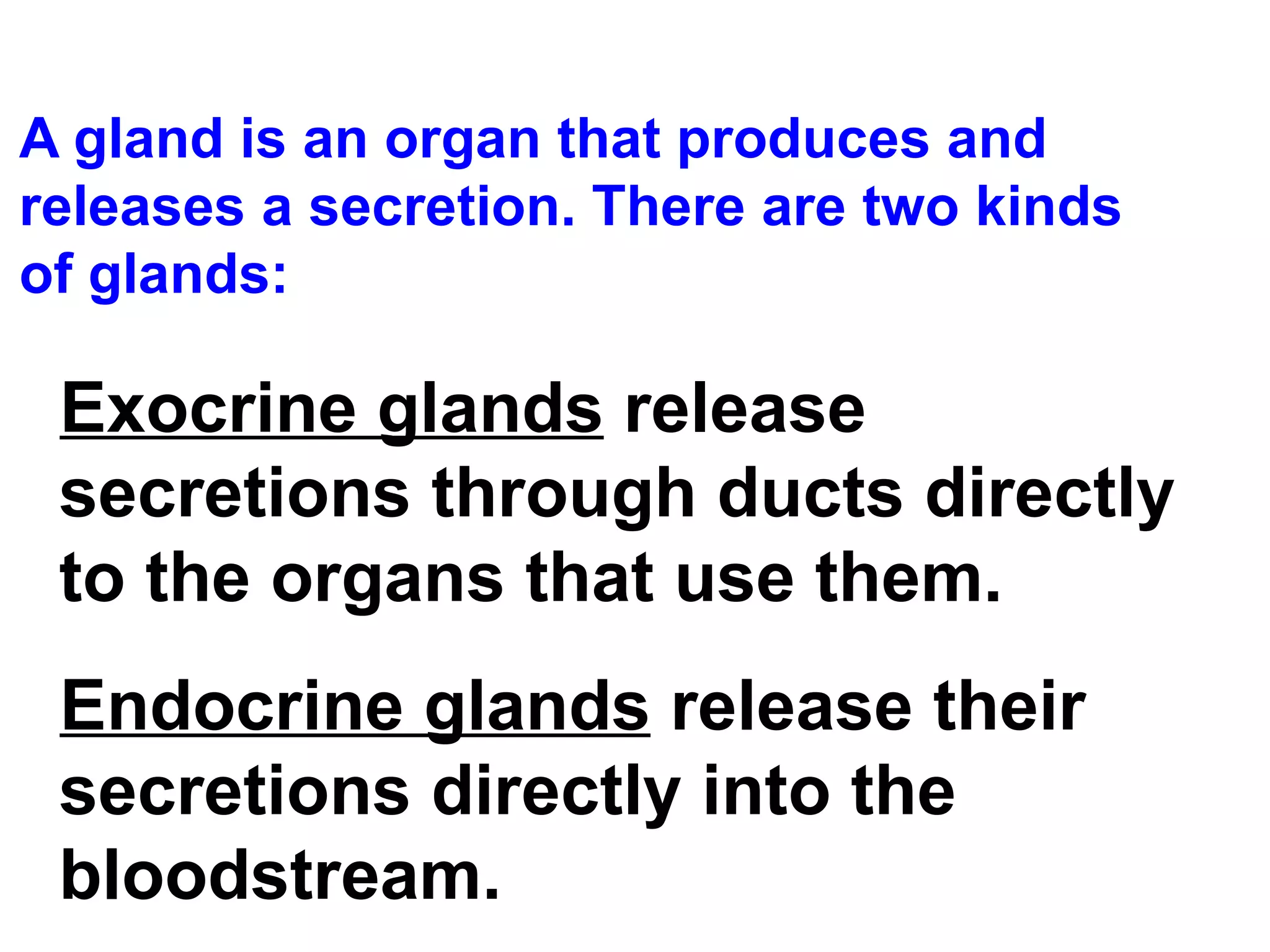 A gland is an organ that produces and releases a secretion. There are two kinds of glands: Exocrine glands  release secretions through ducts directly to the organs that use them.  Endocrine glands  release their secretions directly into the bloodstream. 