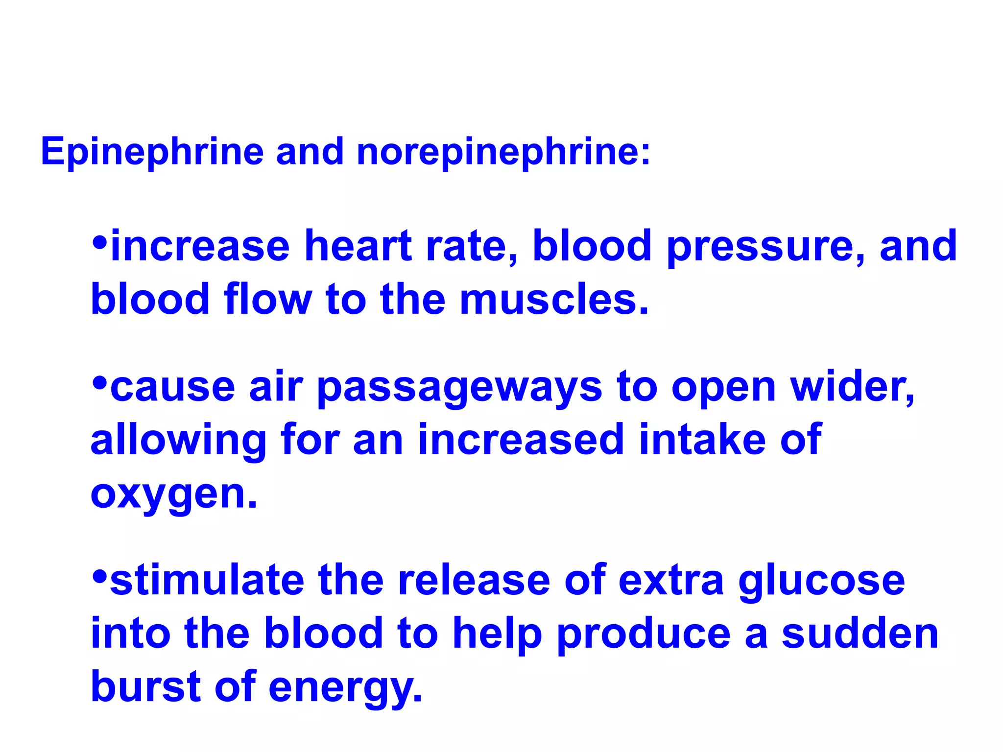 Epinephrine and norepinephrine: increase heart rate, blood pressure, and blood flow to the muscles. cause air passageways to open wider, allowing for an increased intake of oxygen. stimulate the release of extra glucose into the blood to help produce a sudden burst of energy.  
