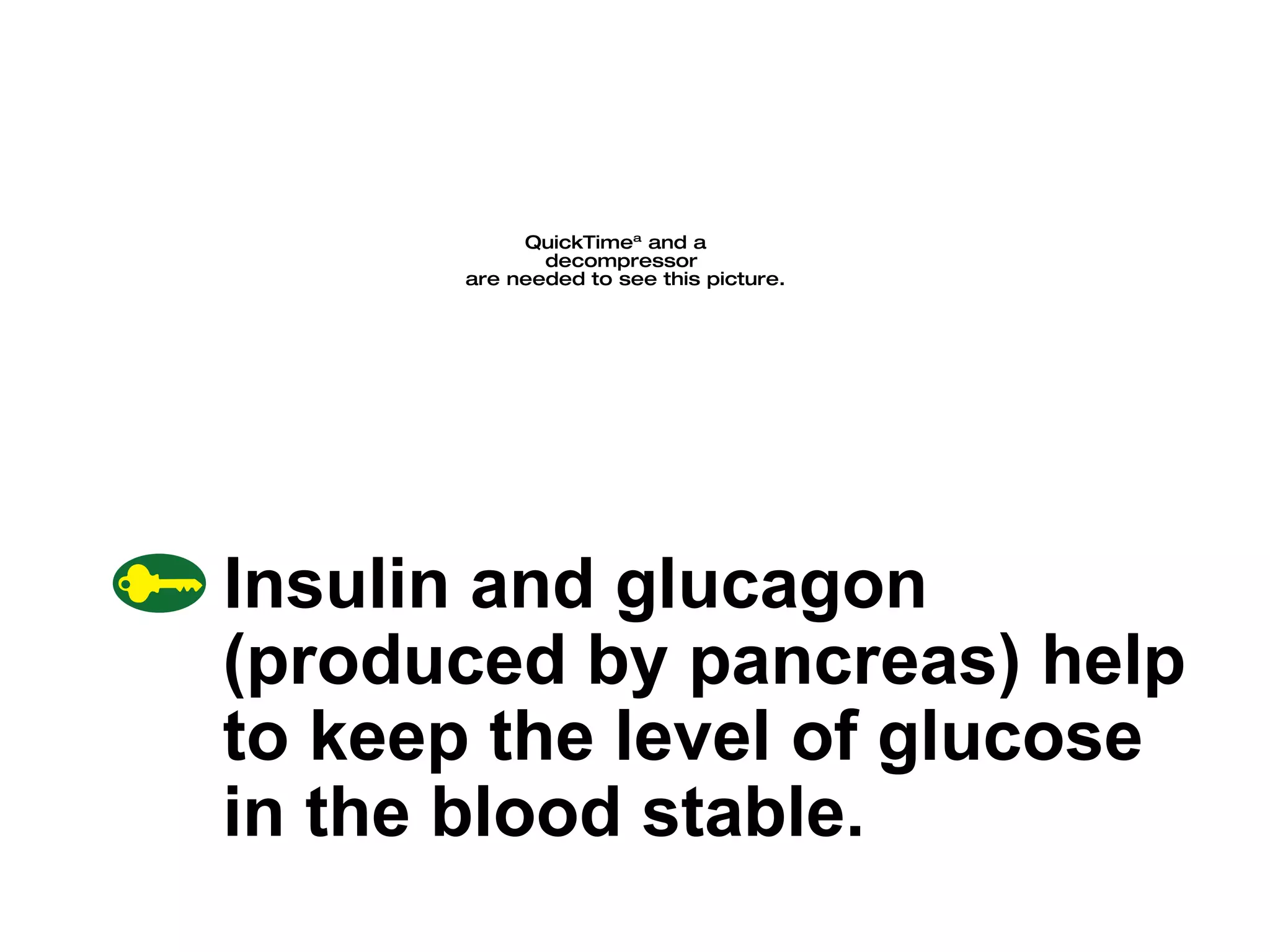 Insulin and glucagon (produced by pancreas) help to keep the level of glucose in the blood stable. 