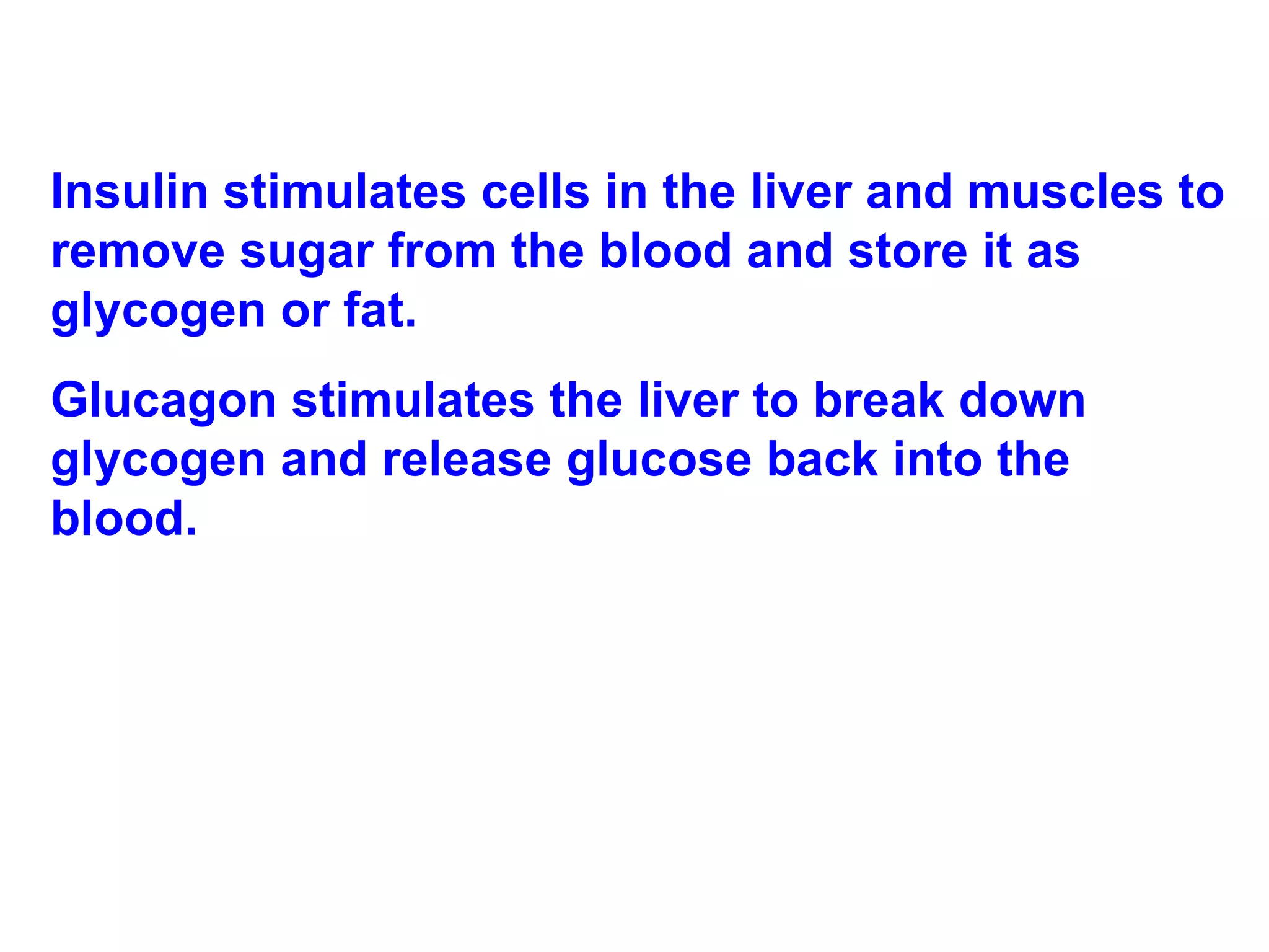 Insulin stimulates cells in the liver and muscles to remove sugar from the blood and store it as glycogen or fat.  Glucagon stimulates the liver to break down glycogen and release glucose back into the blood. 