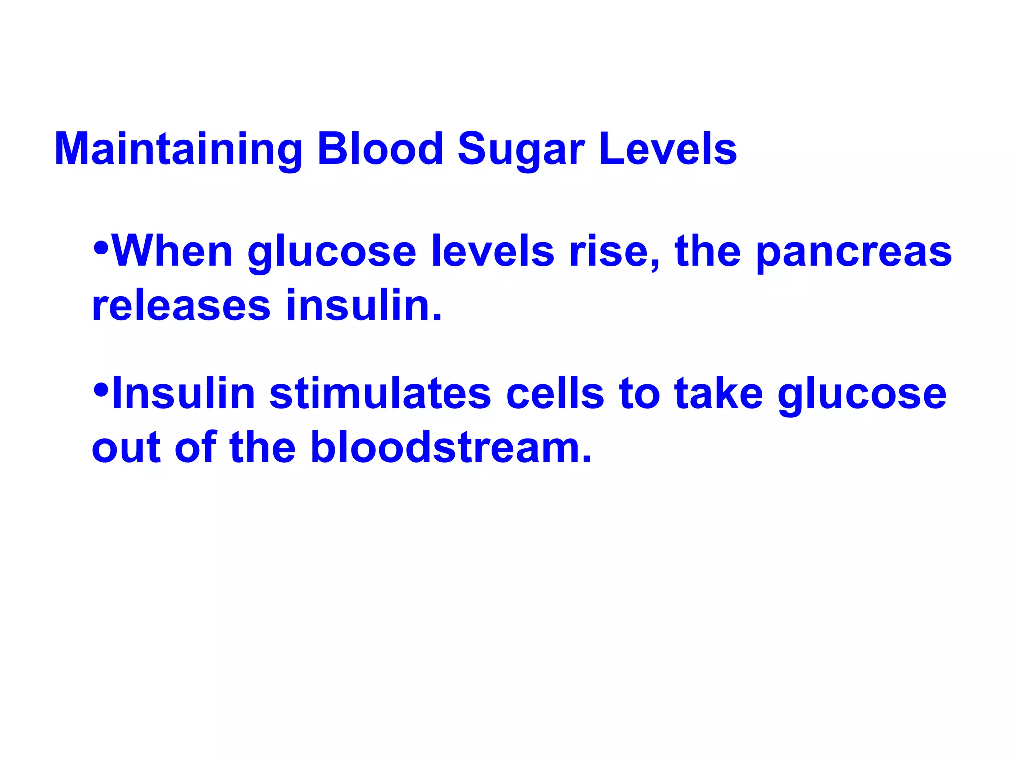 Maintaining Blood Sugar Levels When glucose levels rise, the pancreas releases insulin.  Insulin stimulates cells to take glucose out of the bloodstream.  
