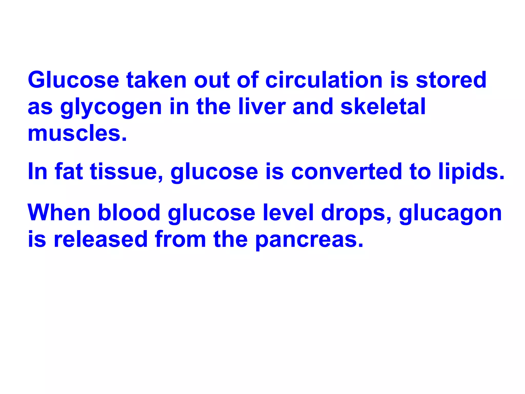 Glucose taken out of circulation is stored as glycogen in the liver and skeletal muscles. In fat tissue, glucose is converted to lipids. When blood glucose level drops, glucagon is released from the pancreas.  