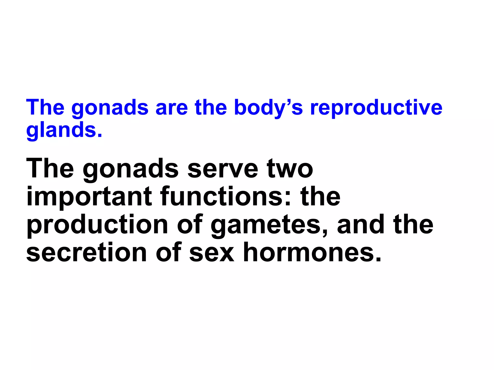 The gonads are the body’s reproductive glands. The gonads serve two important functions: the production of gametes, and the secretion of sex hormones. 