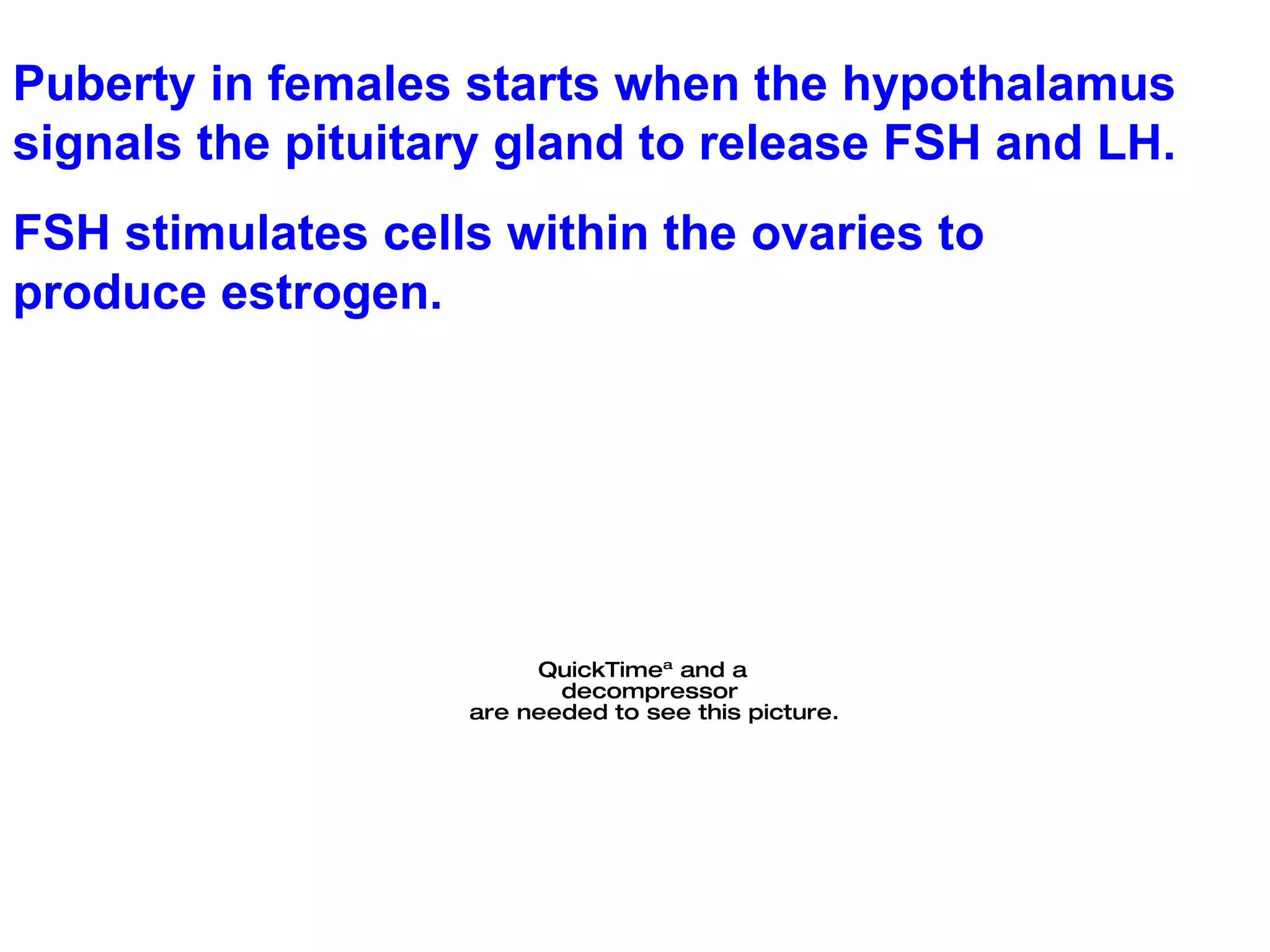 Puberty in females starts when the hypothalamus signals the pituitary gland to release FSH and LH.  FSH stimulates cells within the ovaries to produce estrogen. 