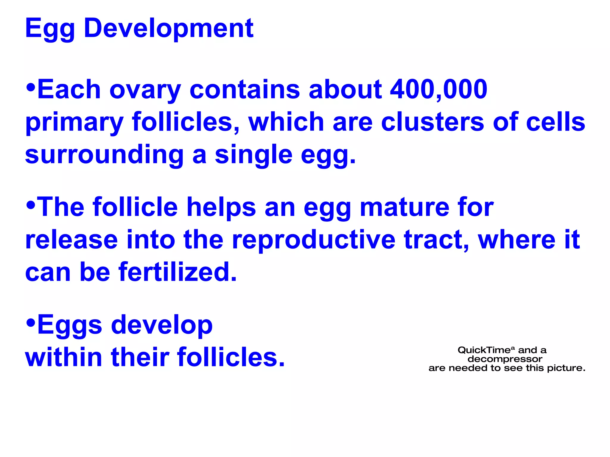 Egg Development  Each ovary contains about 400,000 primary follicles, which are clusters of cells surrounding a single egg.  The follicle helps an egg mature for release into the reproductive tract, where it can be fertilized.  Eggs develop  within their follicles. 