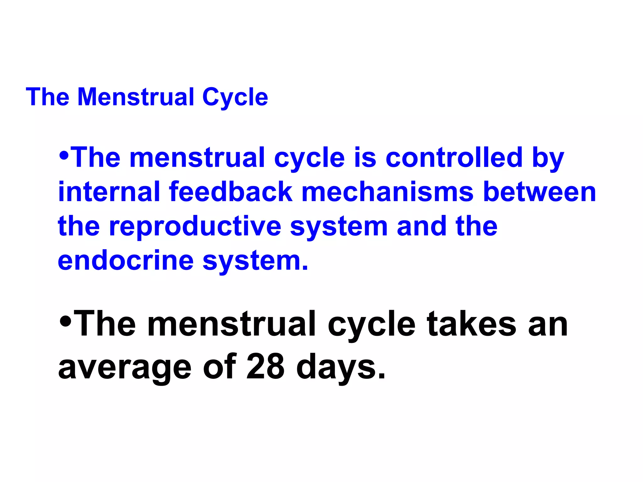 The Menstrual Cycle The menstrual cycle is controlled by internal feedback mechanisms between the reproductive system and the endocrine system. The menstrual cycle takes an average of 28 days. 
