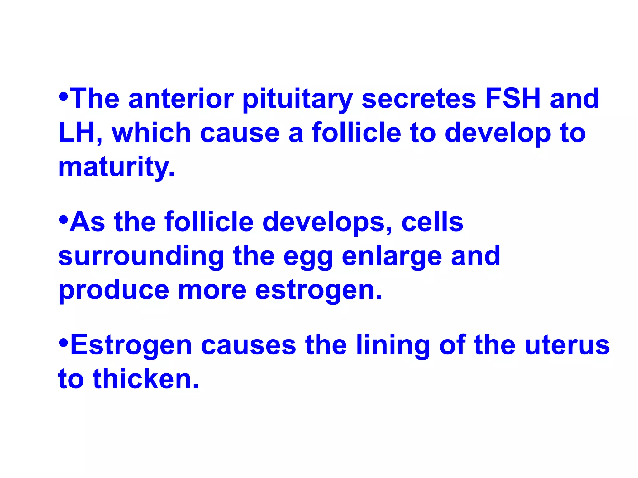 The anterior pituitary secretes FSH and LH, which cause a follicle to develop to maturity. As the follicle develops, cells surrounding the egg enlarge and produce more estrogen. Estrogen causes the lining of the uterus to thicken. 