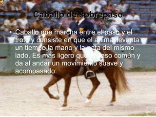 Caballo de sobrepaso Caballo que marcha entre el paso y el trote y consiste en que el animal levanta a un tiempo la mano y la pata del mismo lado. Es más ligero que el paso común y da al andar un movimiento suave y acompasado. 