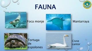 FAUNA
Foca monje Mantarraya
Tortuga
de
espolones
Cisne
cantor
 